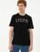 Erkek Regular Fit Bisiklet Yaka Siyah Basic Tişört