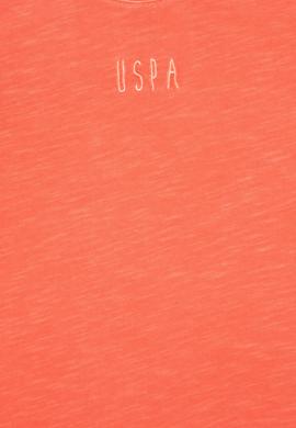 Erkek Çocuk Nar Çiçeği Bisiklet Yaka Tişört - 50279594020