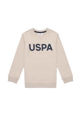 Erkek Çocuk Taş Bisiklet Yaka Sweatshirt - 50289143029