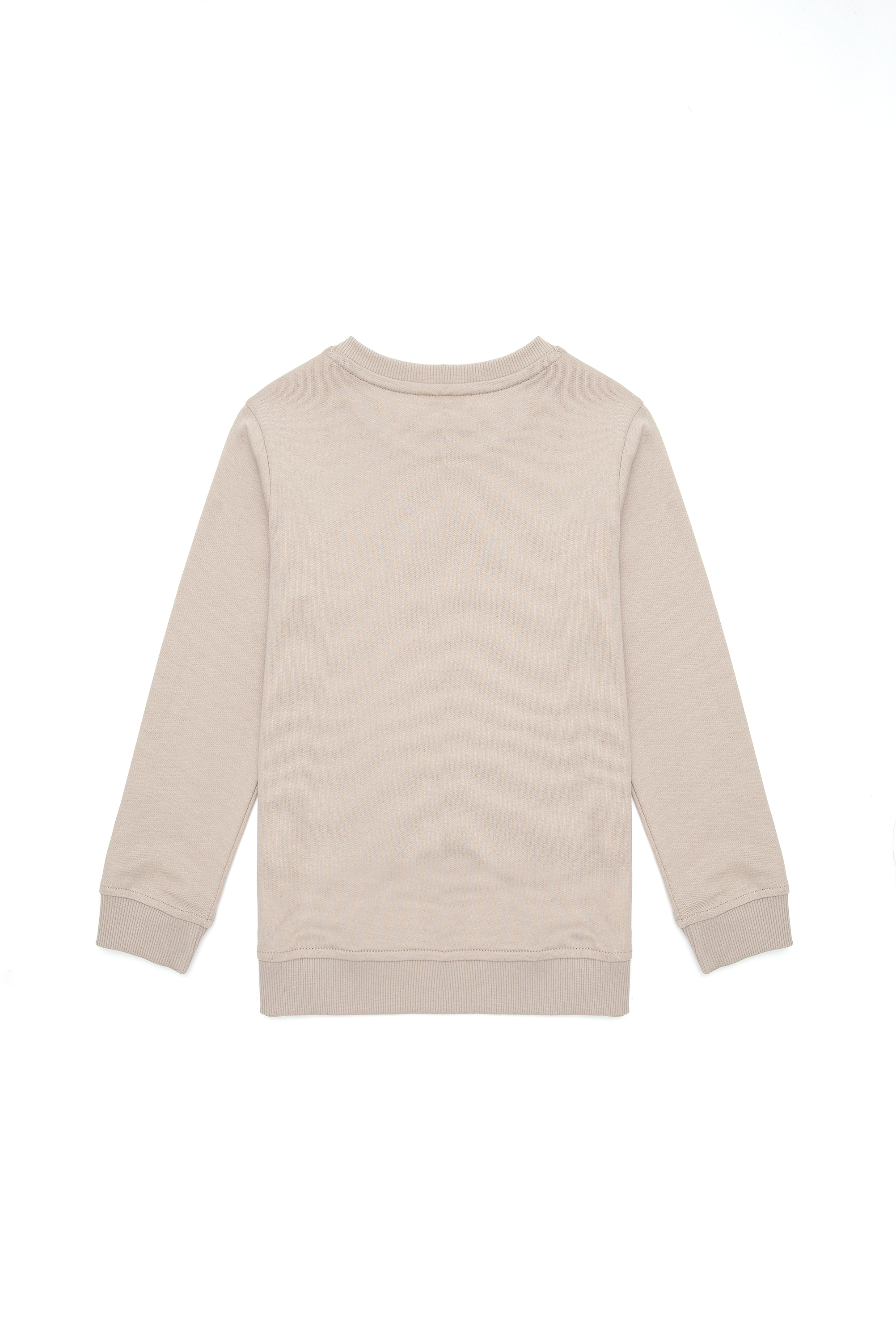 Erkek Çocuk Taş Bisiklet Yaka Sweatshirt - Image 2