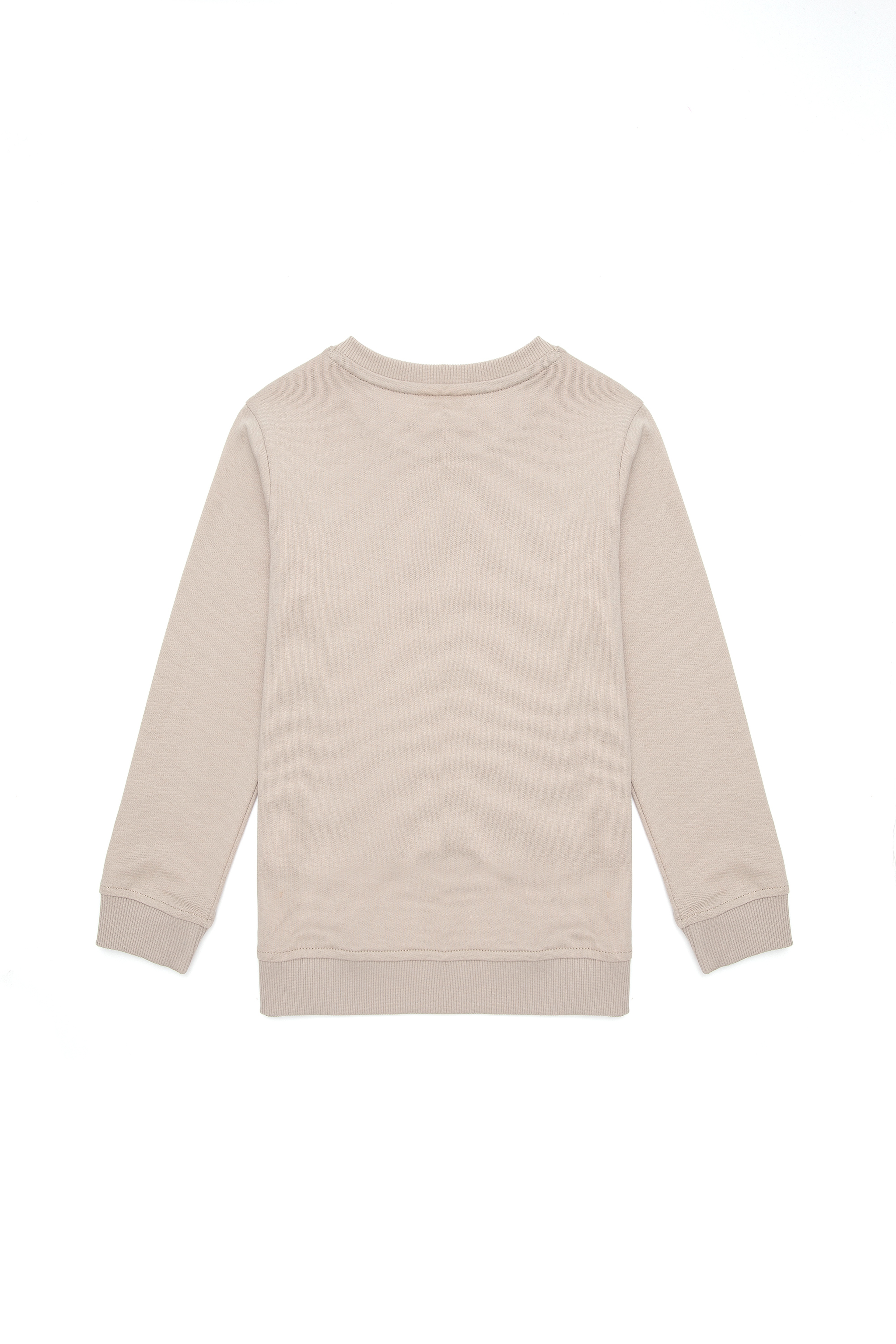 Erkek Çocuk Taş Bisiklet Yaka Sweatshirt