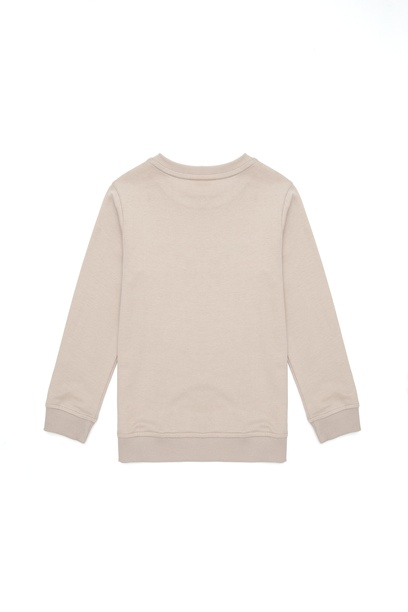 Erkek Çocuk Taş Bisiklet Yaka Sweatshirt
