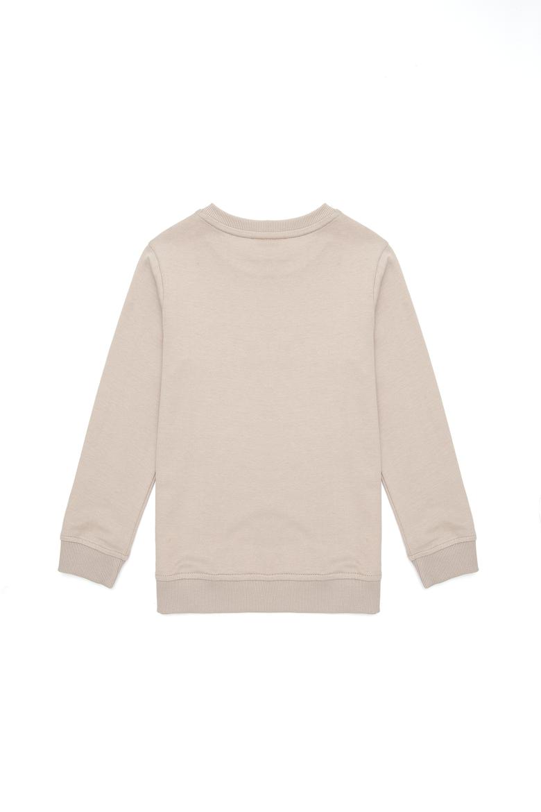 Erkek Çocuk Taş Bisiklet Yaka Sweatshirt - 50289143029