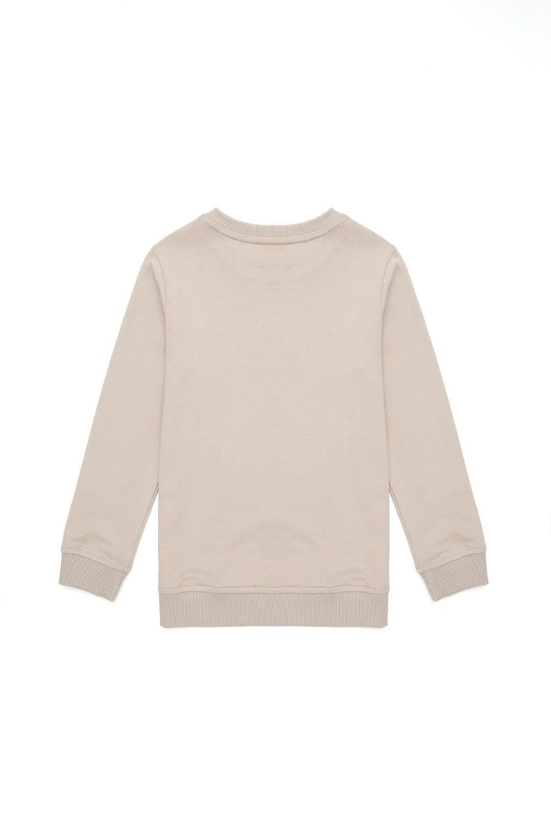 Erkek Çocuk Taş Bisiklet Yaka Sweatshirt