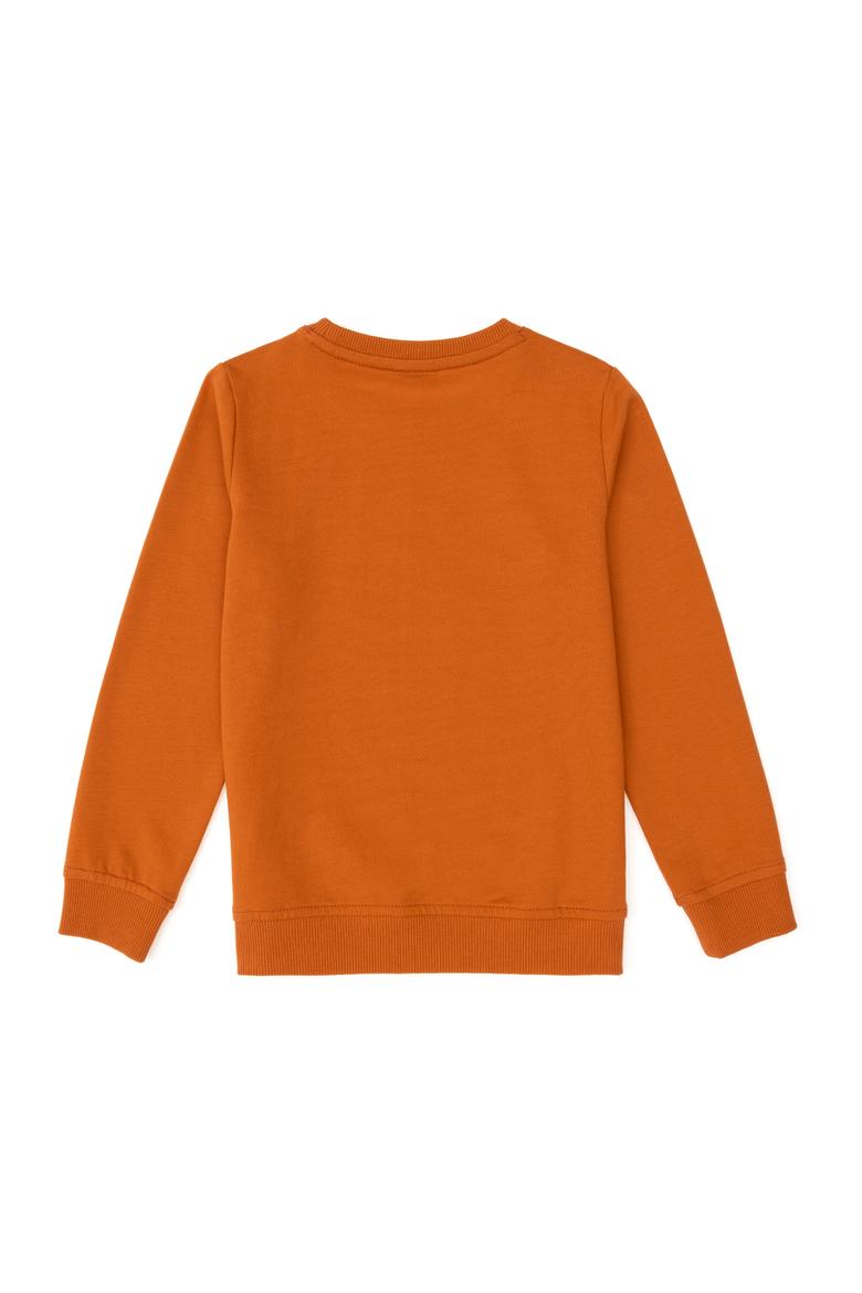 Erkek Çocuk Tarçın Bisiklet Yaka Sweatshirt - 50293617054