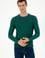 Erkek Slim Fit Bisiklet Yaka Koyu Yeşil Kazak