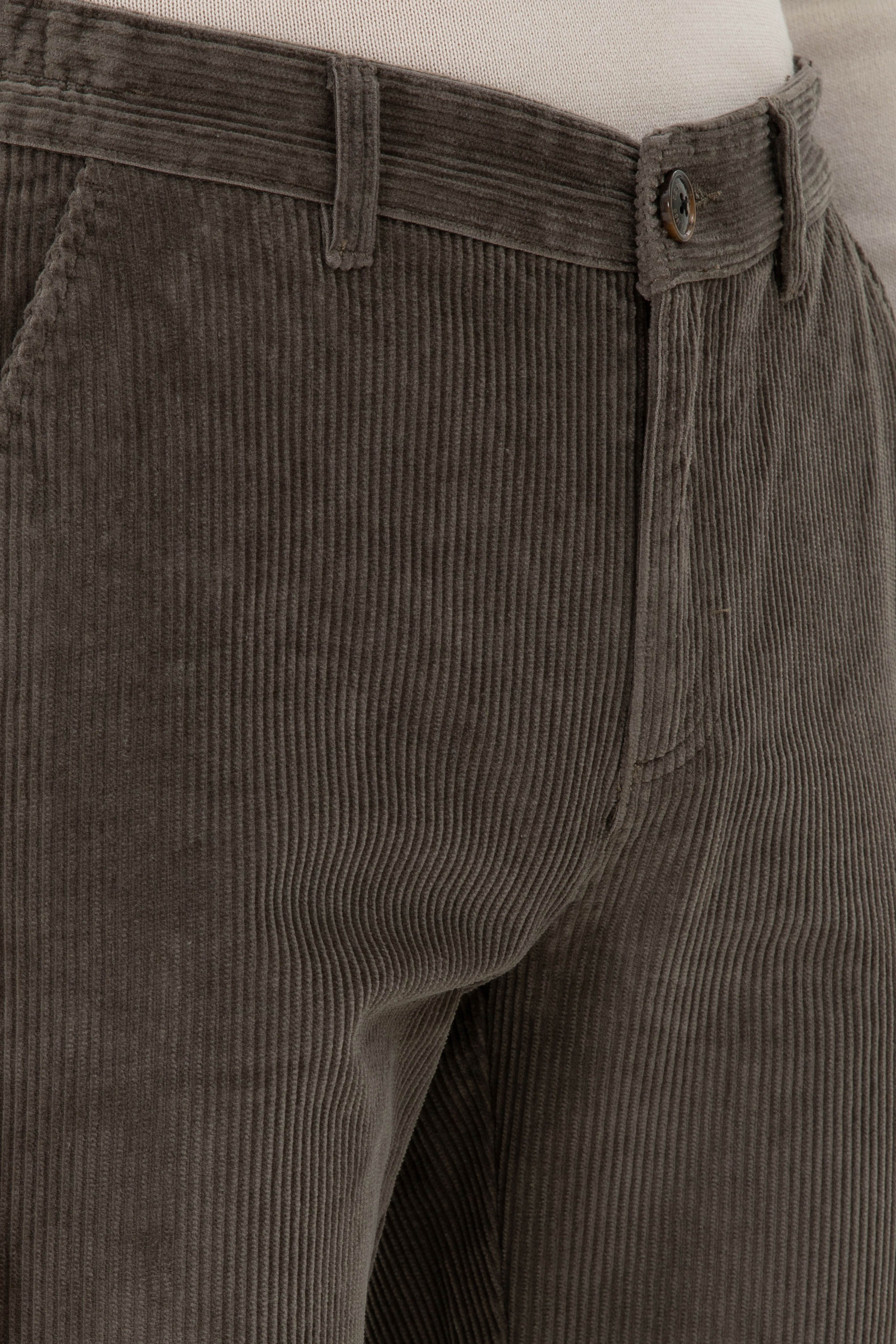 Erkek Regular Fit Vizon Kanvas Pantolon