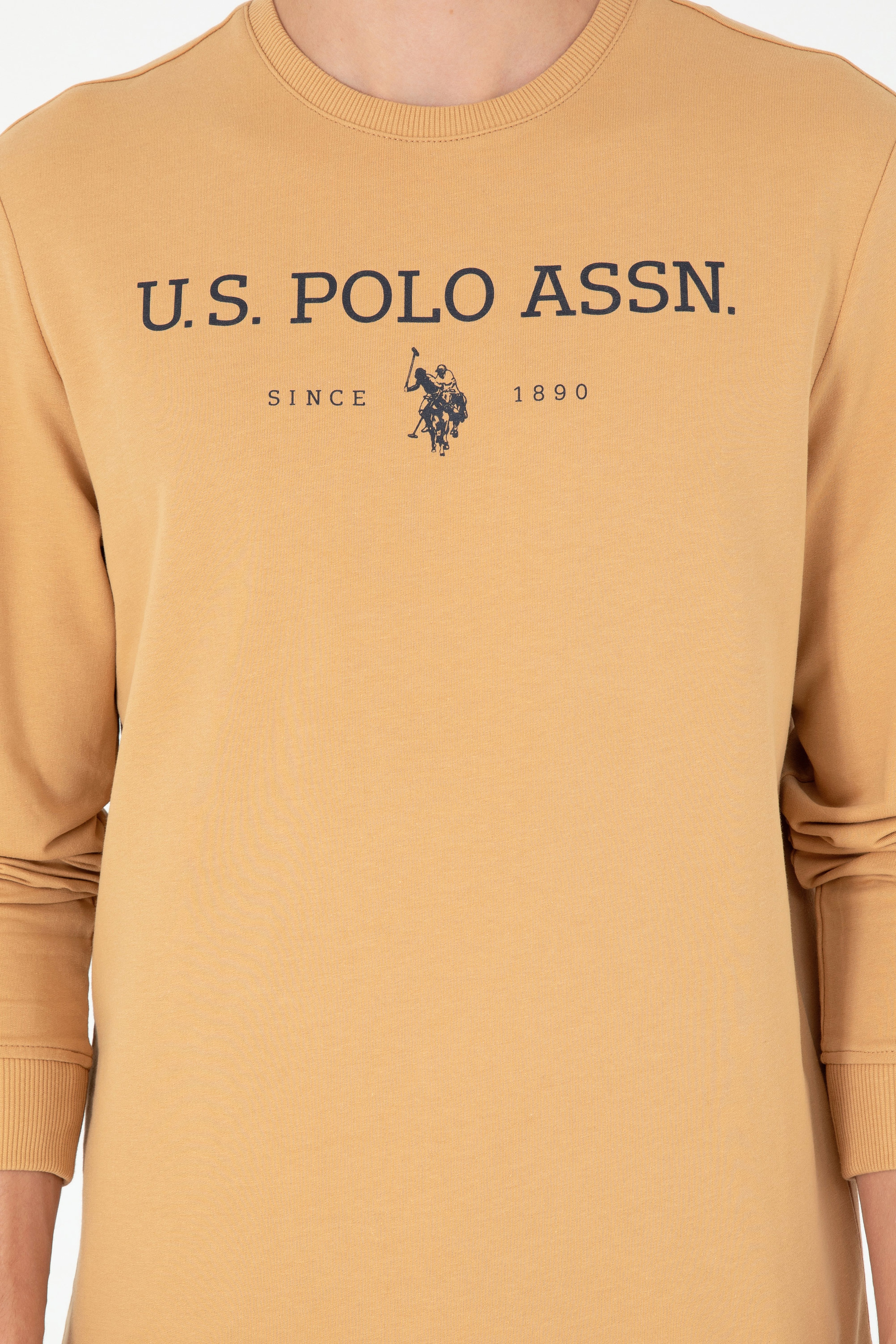 Erkek Camel Sweatshirt - Image 6