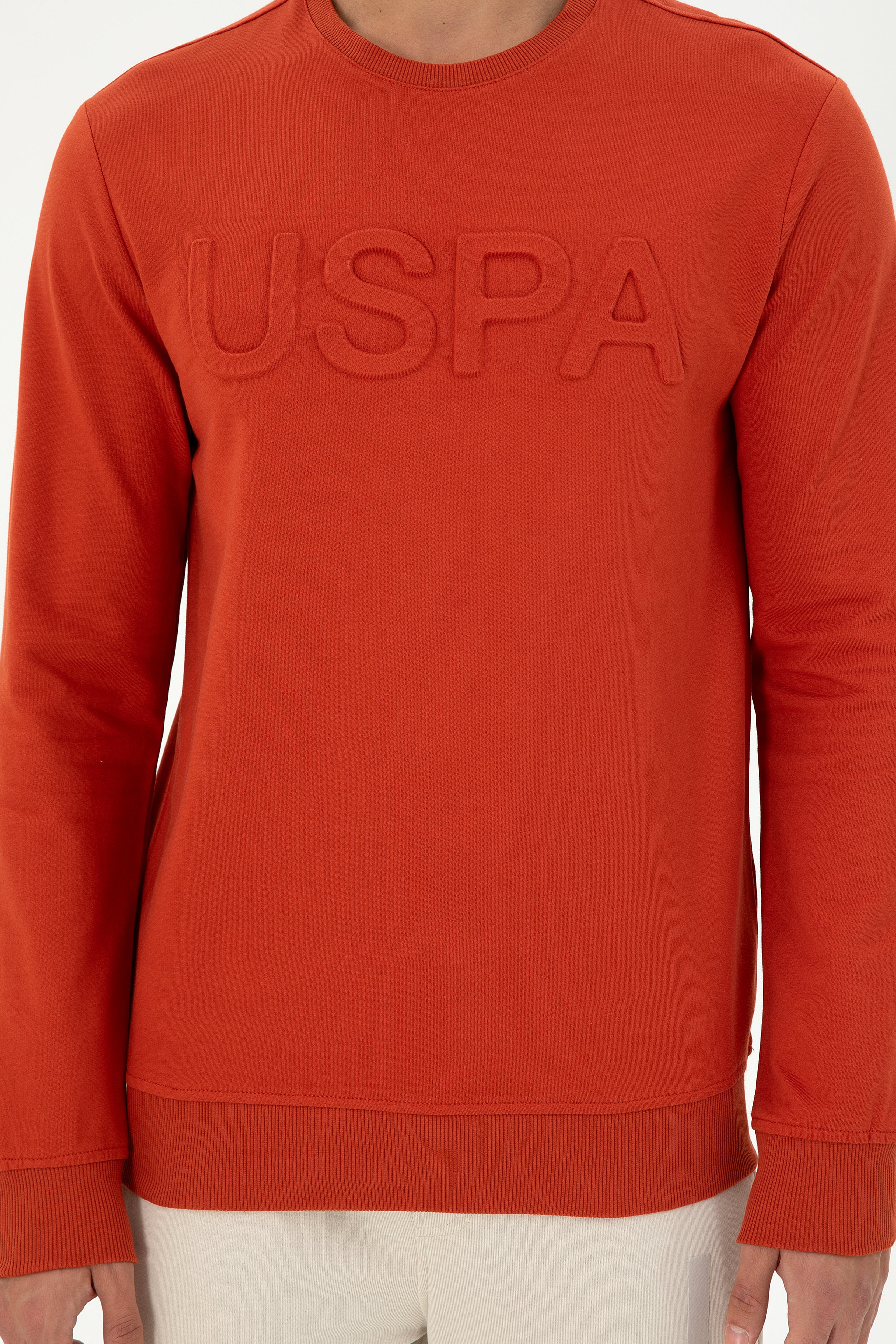 Erkek Regular Fit Bisiklet Yaka Kiremit Basic Sweatshirt - Image 6