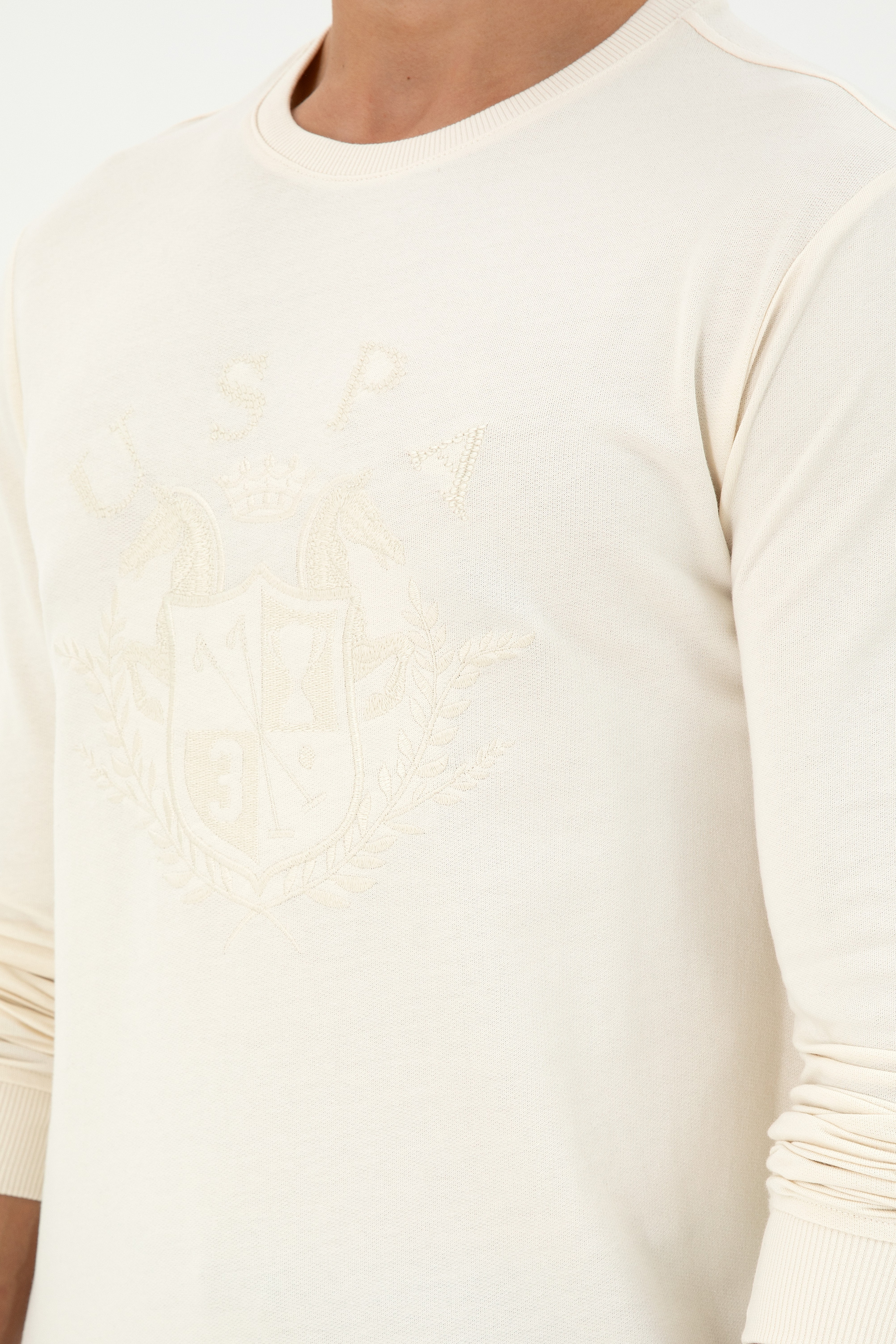 Erkek Regular Fit Bisiklet Yaka Krem Sweatshirt - Image 7