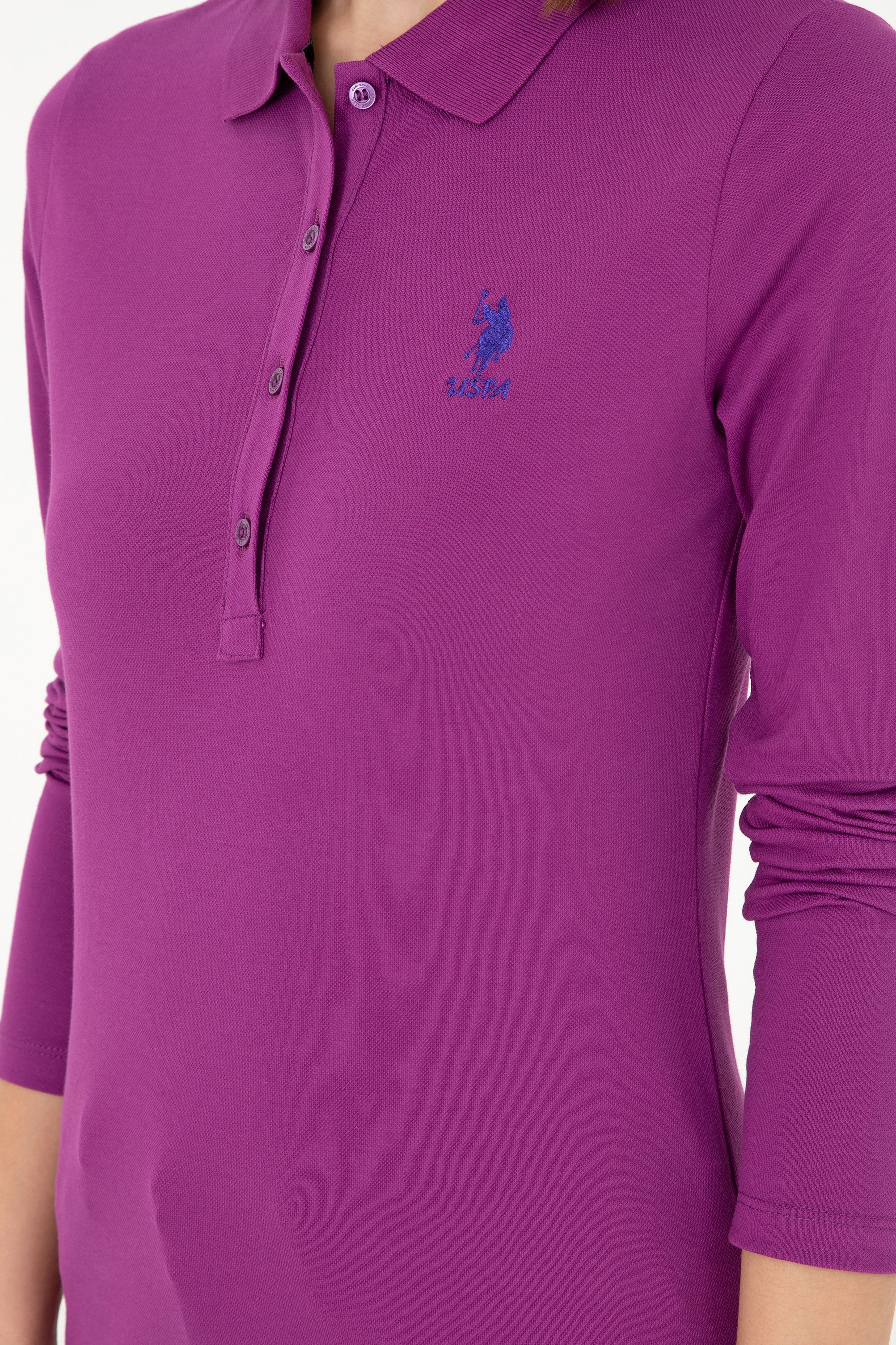 Kadın Menekşe Basic Polo Yaka Sweatshirt