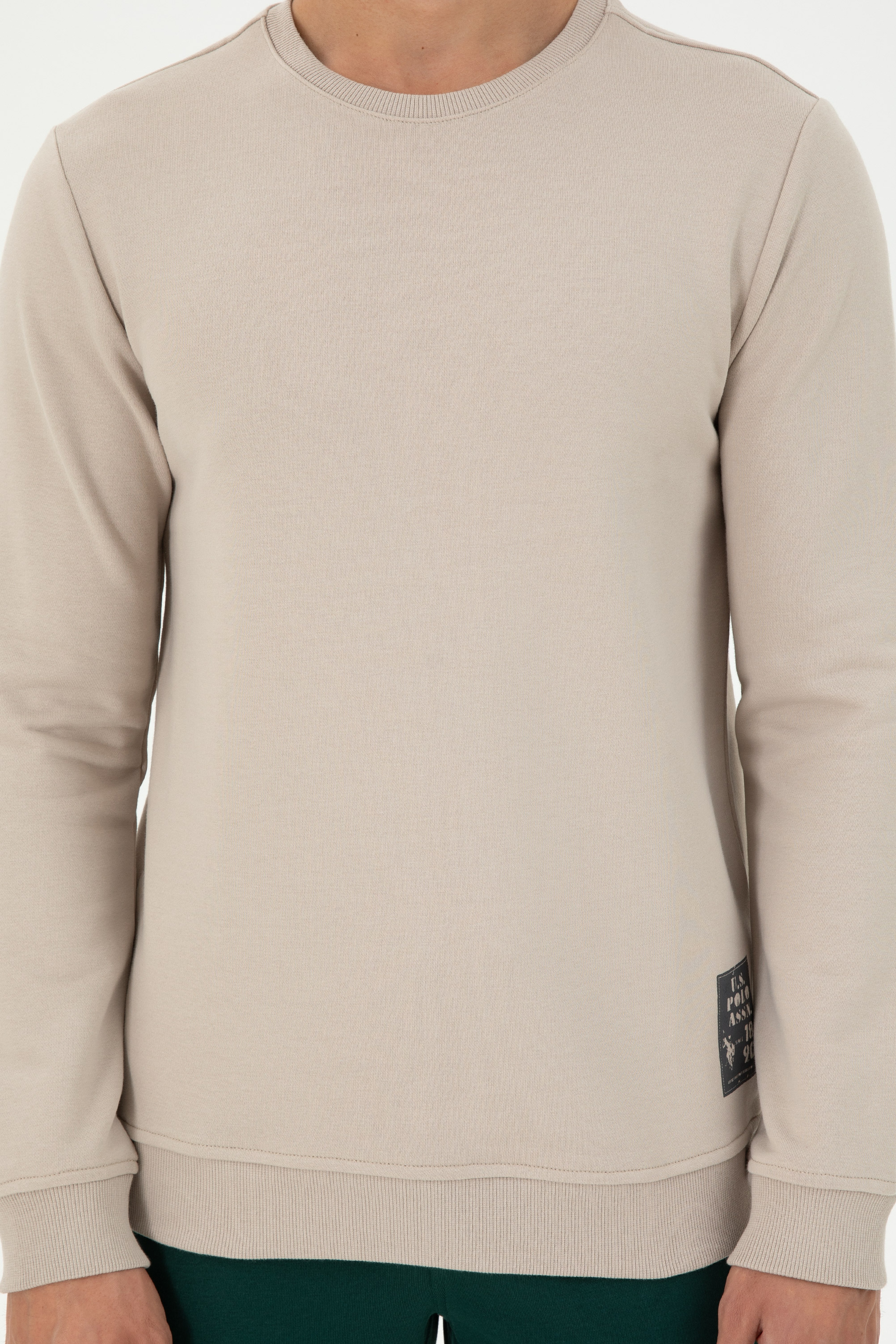 Erkek Regular Fit Bisiklet Yaka Taş Sweatshirt - Image 6
