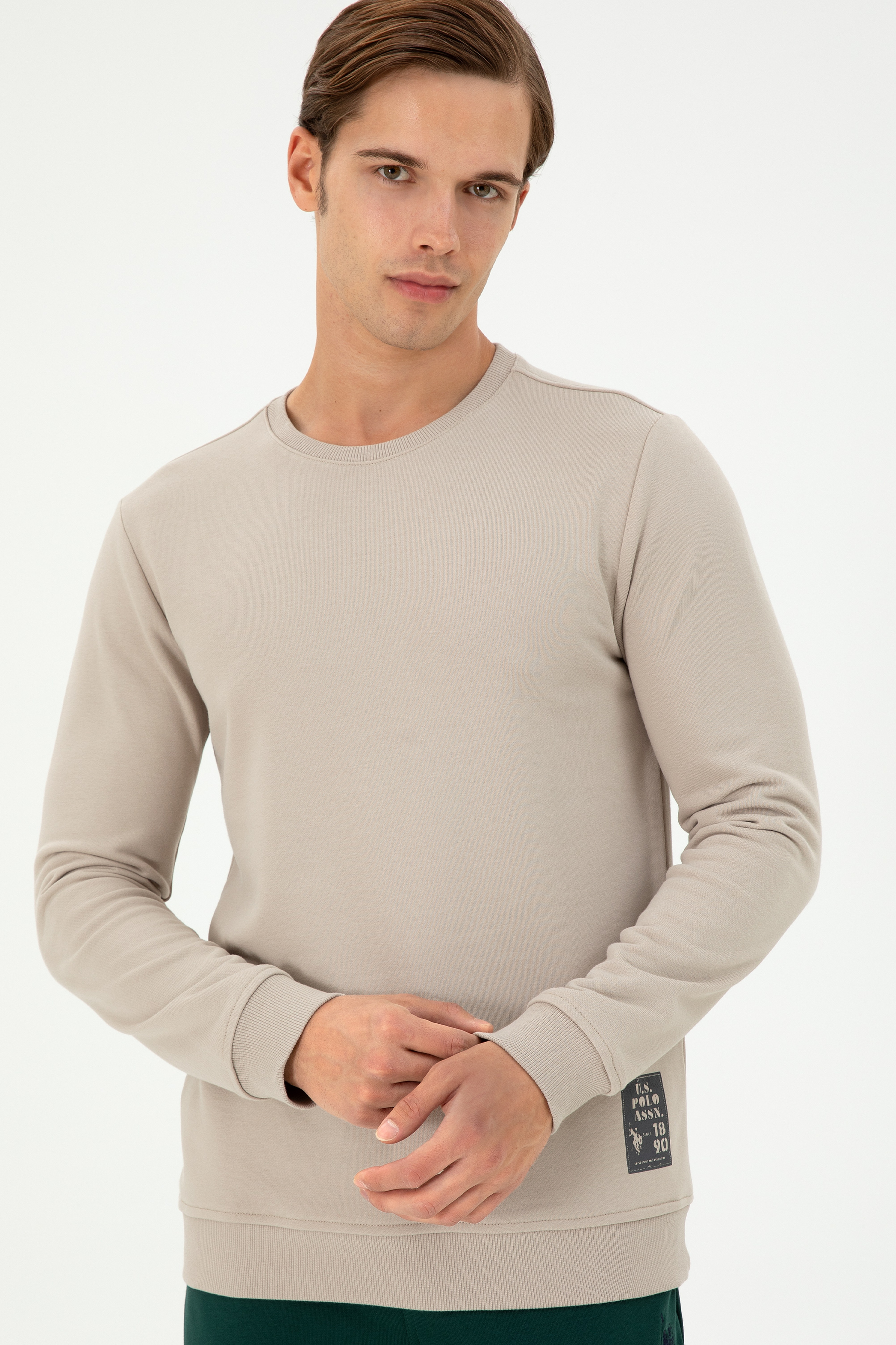 Erkek Regular Fit Bisiklet Yaka Taş Sweatshirt - Image 3
