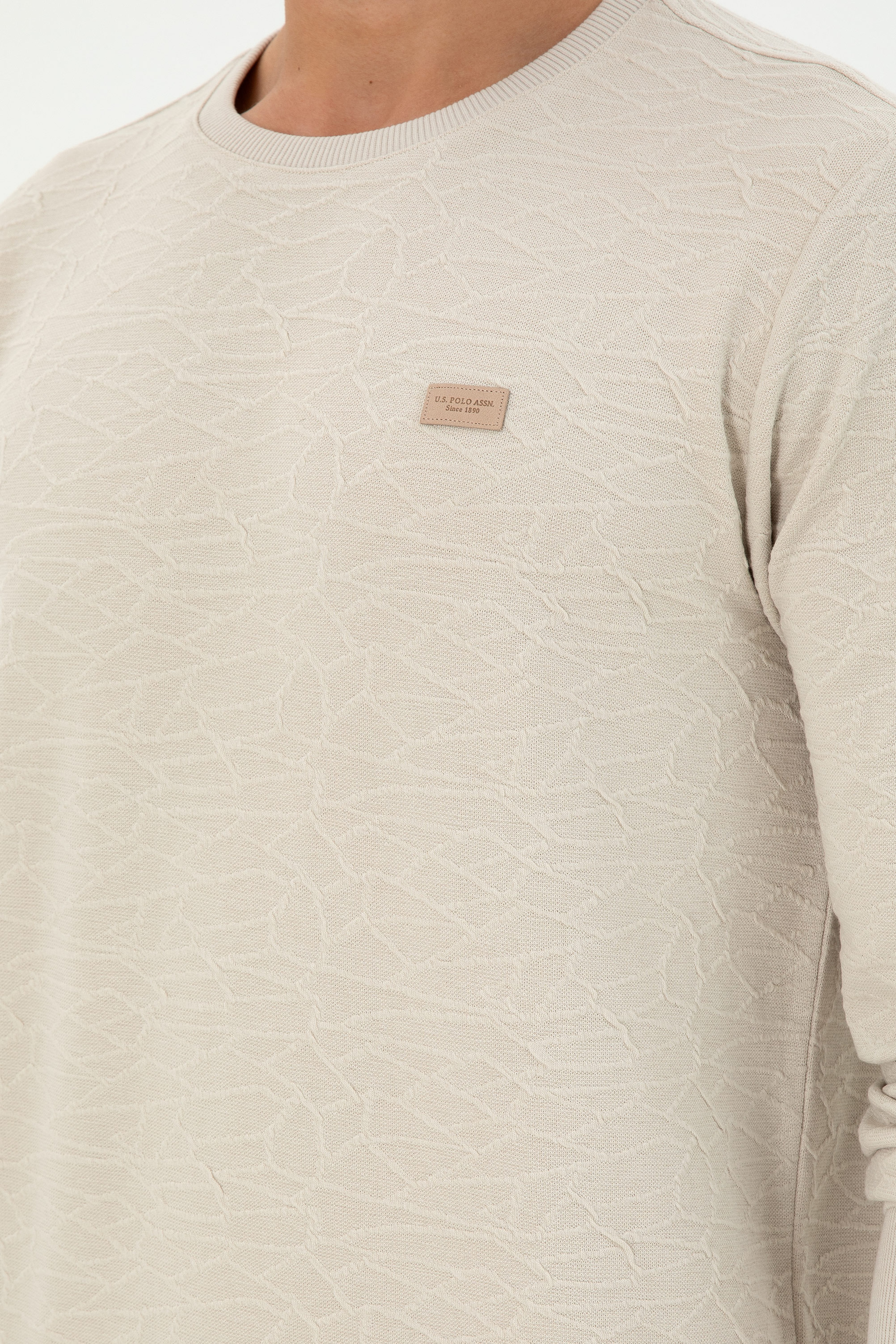 Erkek Regular Fit Bisiklet Yaka Taş Sweatshirt