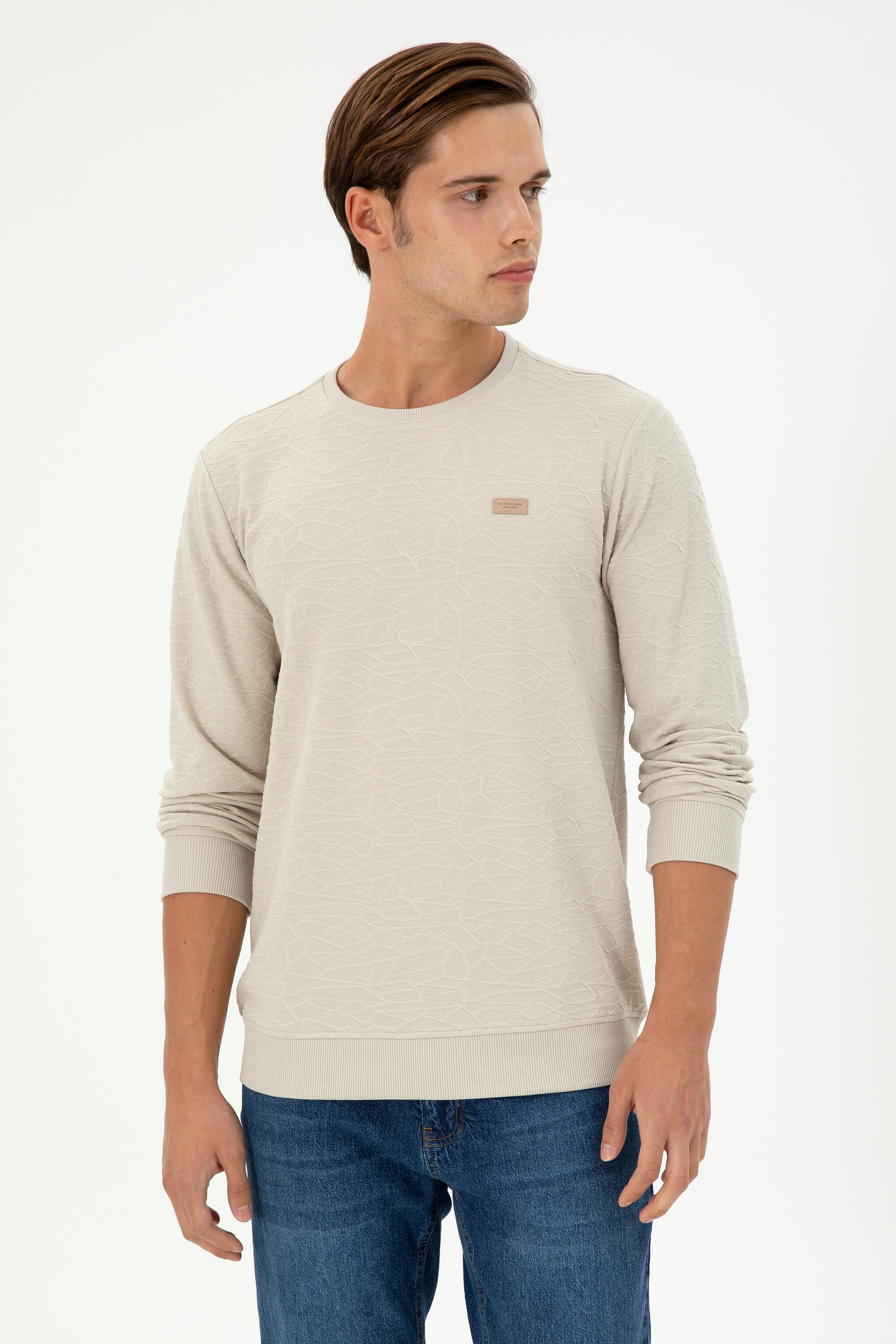 Erkek Regular Fit Bisiklet Yaka Taş Sweatshirt - Image 1