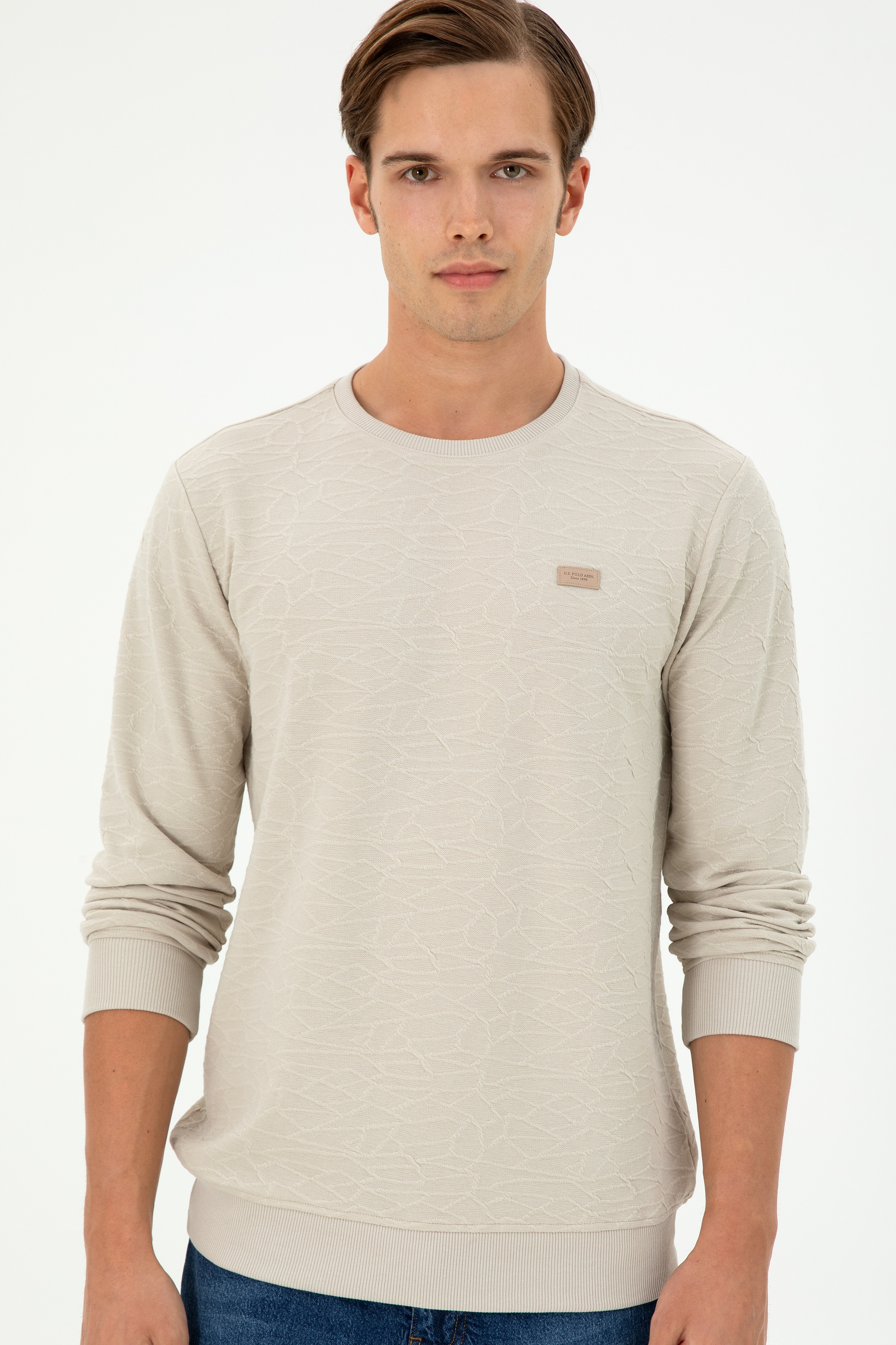 Erkek Regular Fit Bisiklet Yaka Taş Sweatshirt