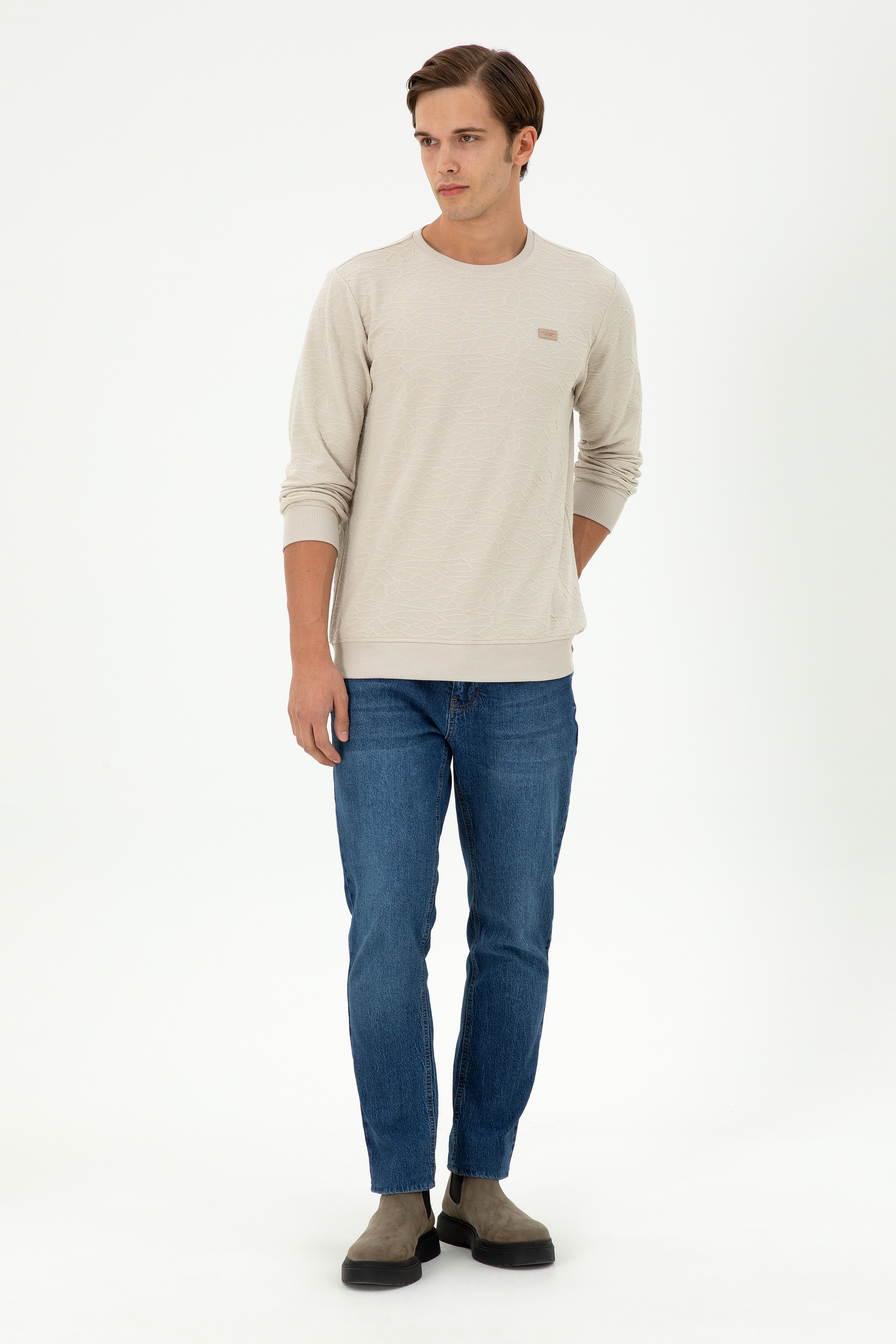 Erkek Regular Fit Bisiklet Yaka Taş Sweatshirt