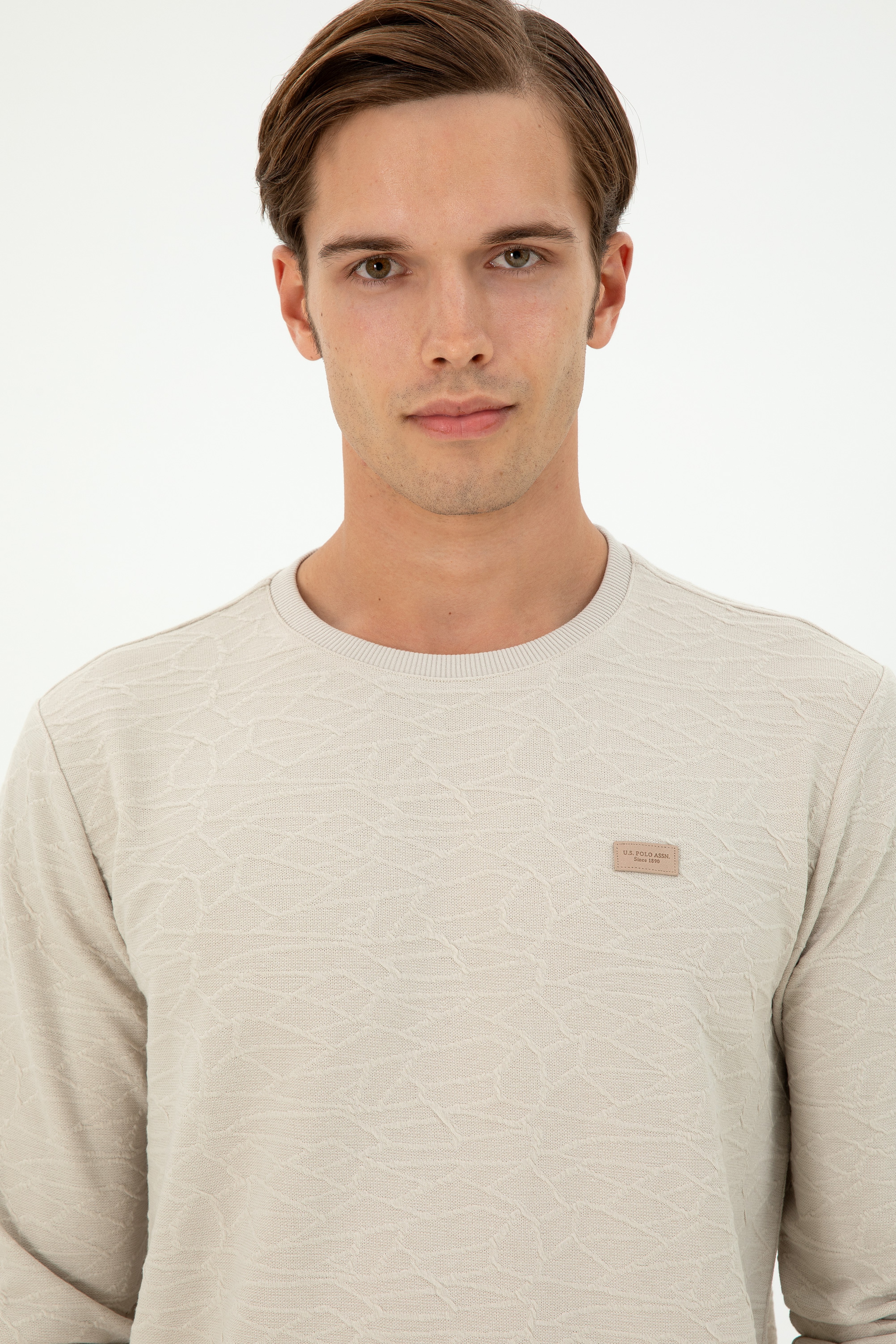 Erkek Regular Fit Bisiklet Yaka Taş Sweatshirt - Image 2