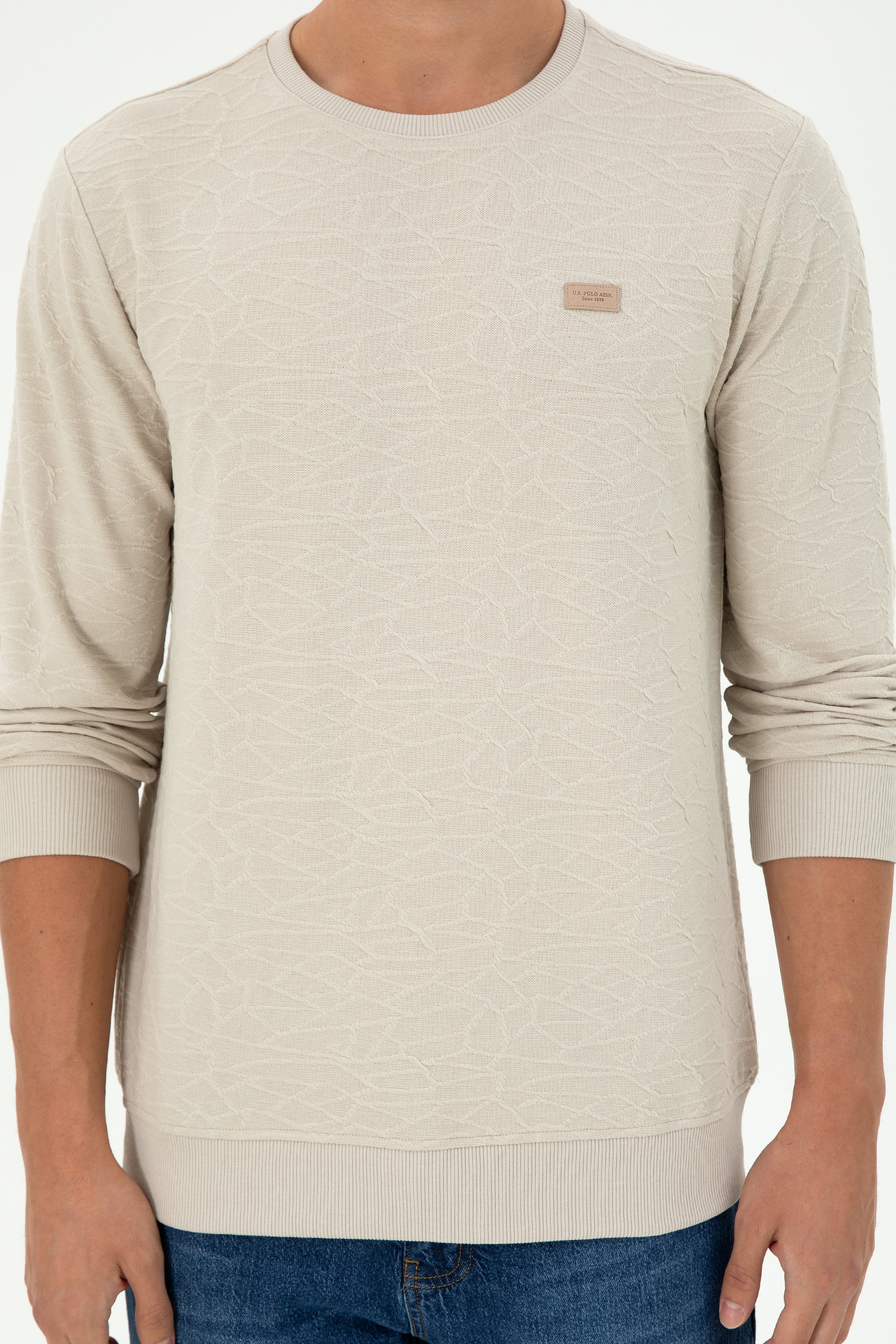 Erkek Regular Fit Bisiklet Yaka Taş Sweatshirt - Image 6