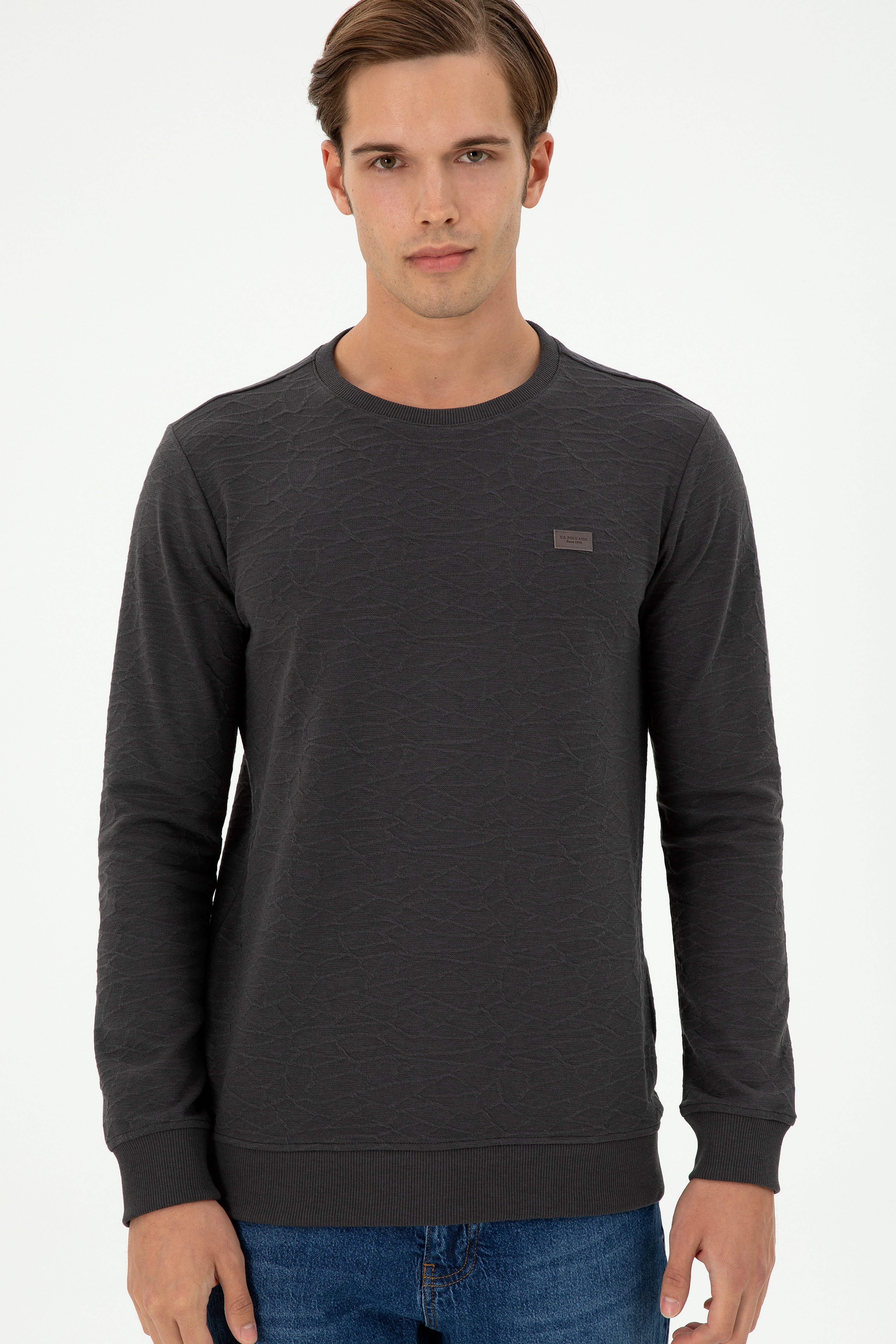 Erkek Regular Fit Bisiklet Yaka Antrasit Sweatshirt - Image 3