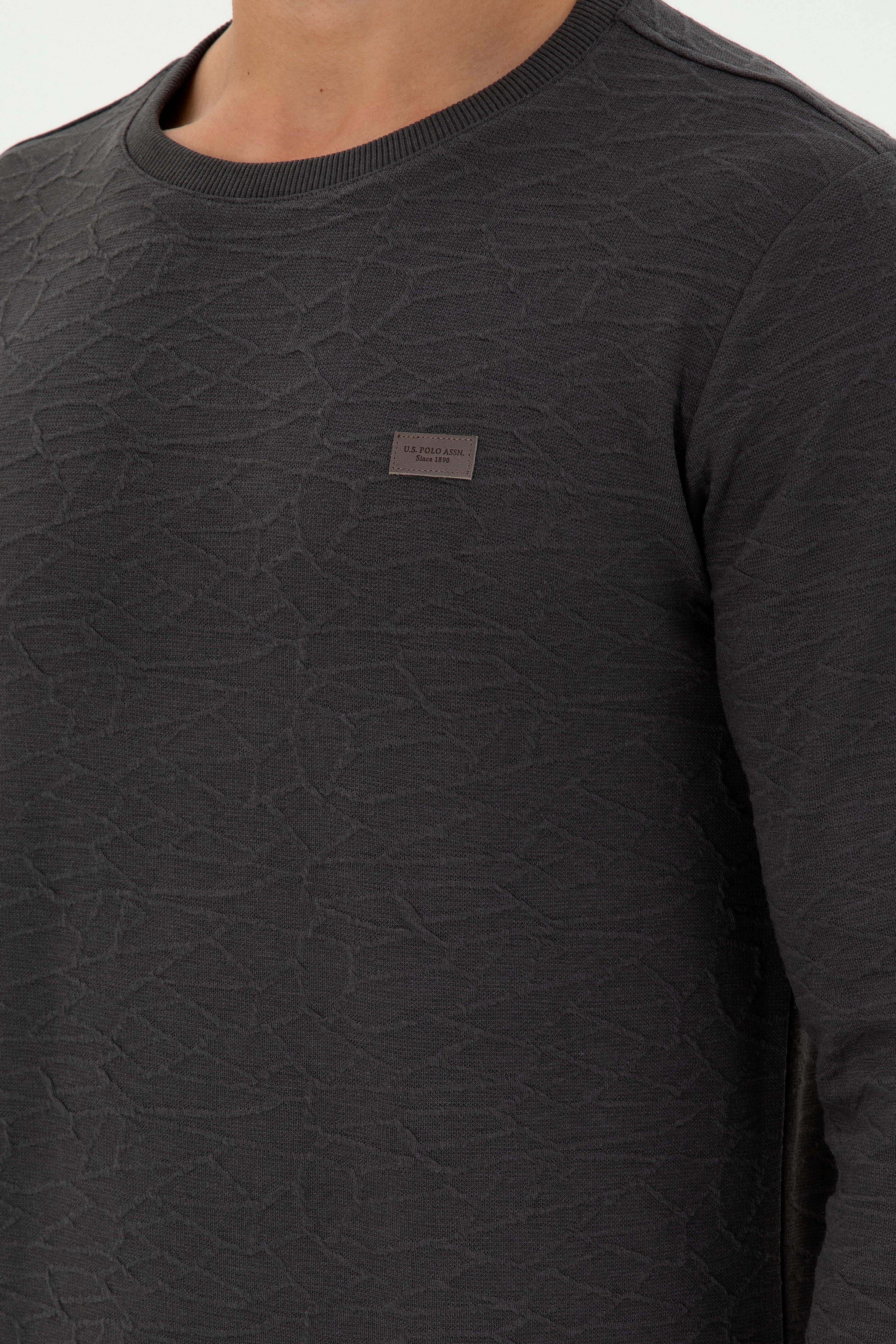 Erkek Regular Fit Bisiklet Yaka Antrasit Sweatshirt - Image 7
