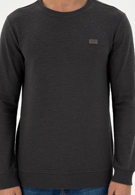 Erkek Regular Fit Bisiklet Yaka Antrasit Sweatshirt - 50290602035