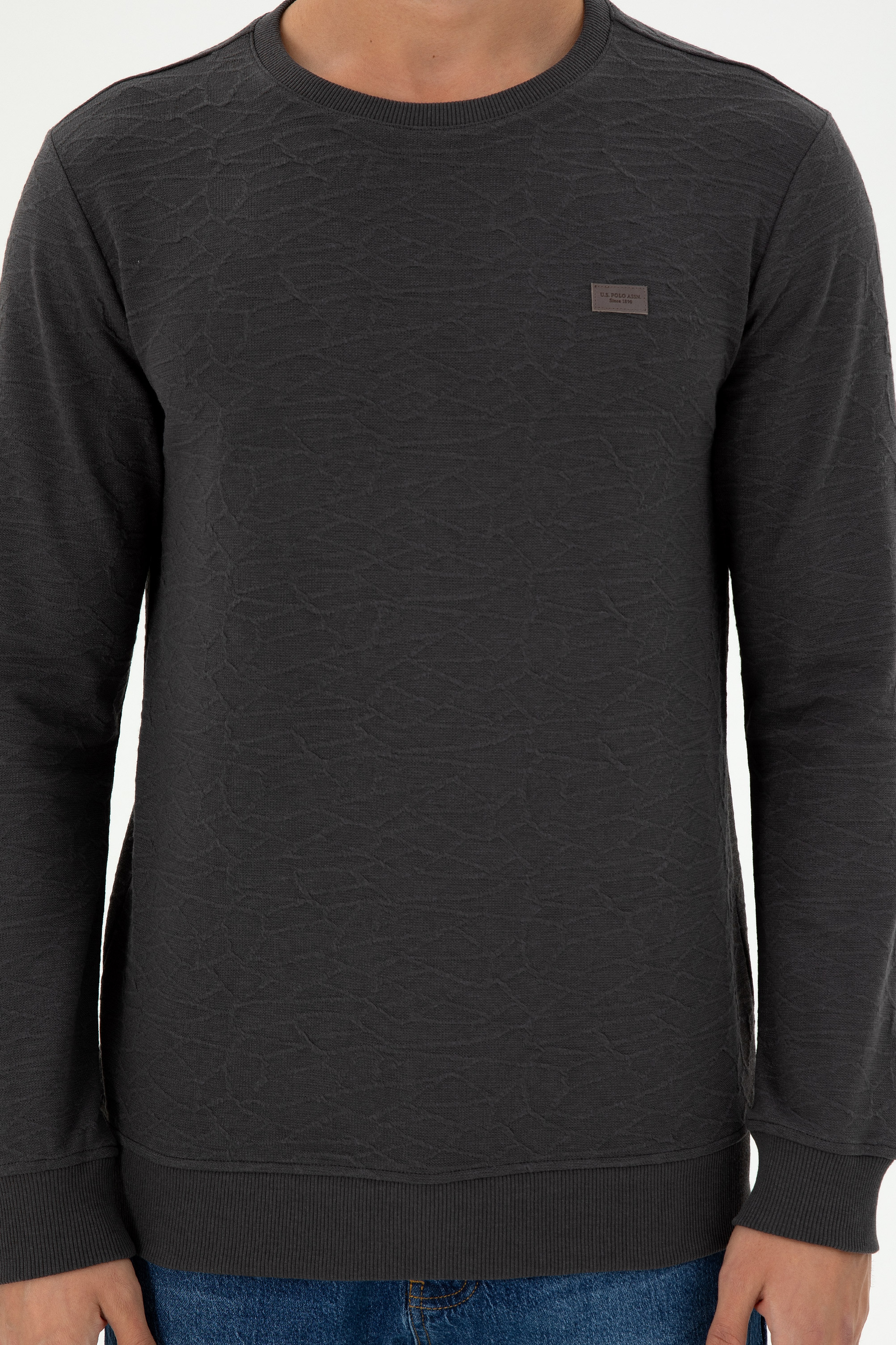 Erkek Regular Fit Bisiklet Yaka Antrasit Sweatshirt - Image 6
