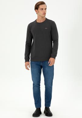 Erkek Regular Fit Bisiklet Yaka Antrasit Sweatshirt - 50290602035
