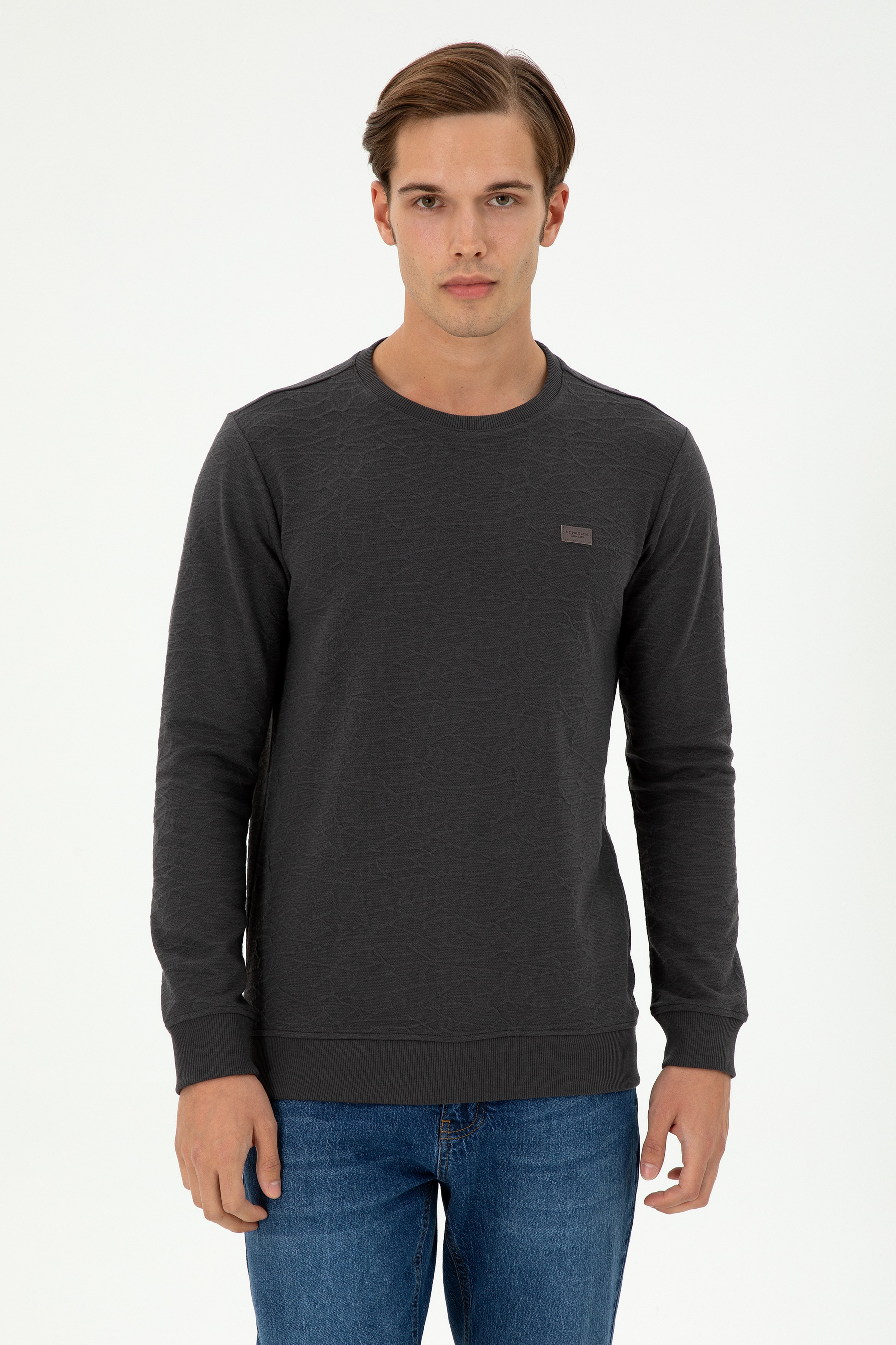 Erkek Regular Fit Bisiklet Yaka Antrasit Sweatshirt - Image 1