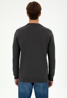 Erkek Regular Fit Bisiklet Yaka Antrasit Sweatshirt - 50290602035