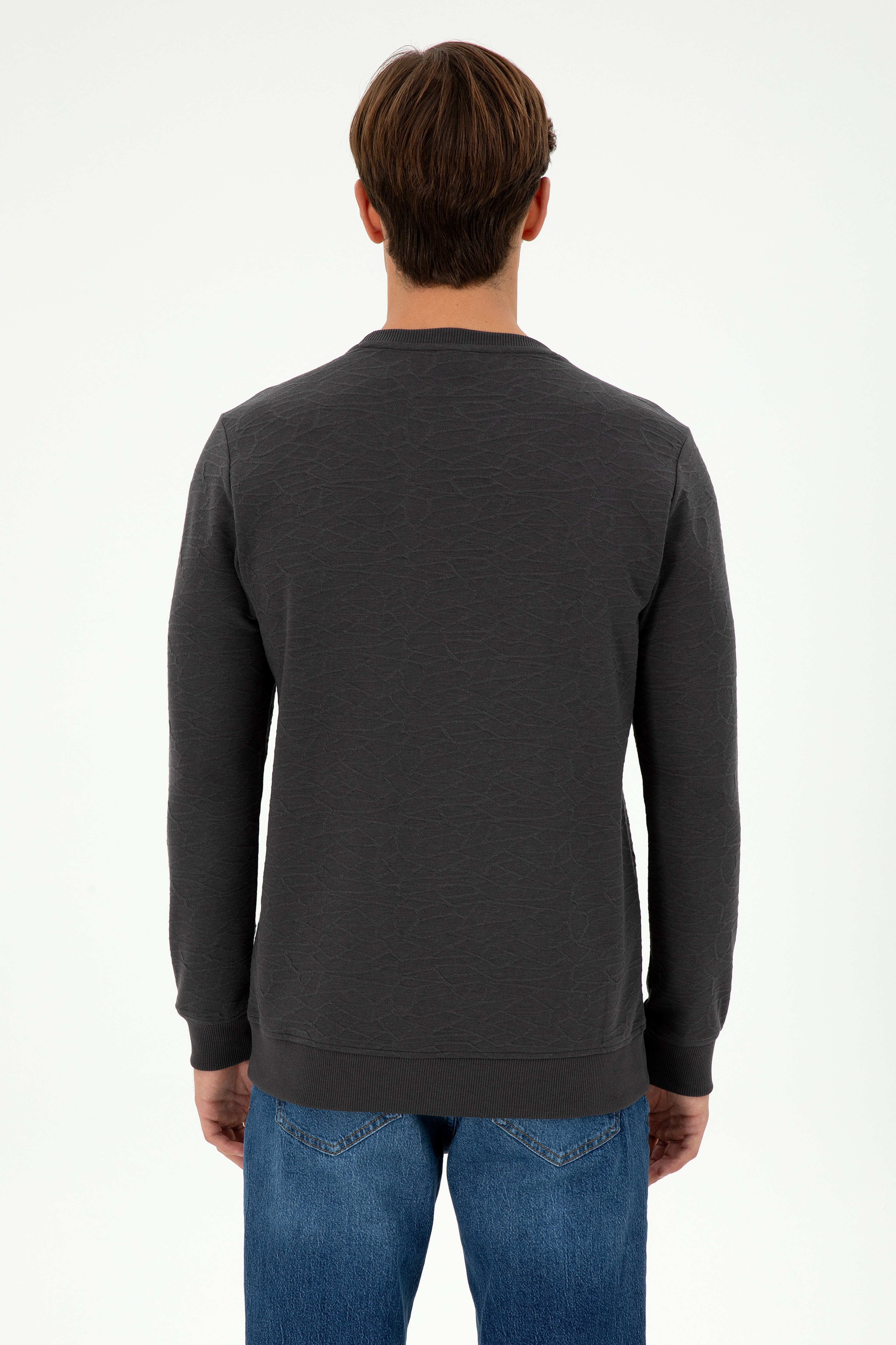 Erkek Regular Fit Bisiklet Yaka Antrasit Sweatshirt
