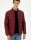 Erkek Bordo Mont