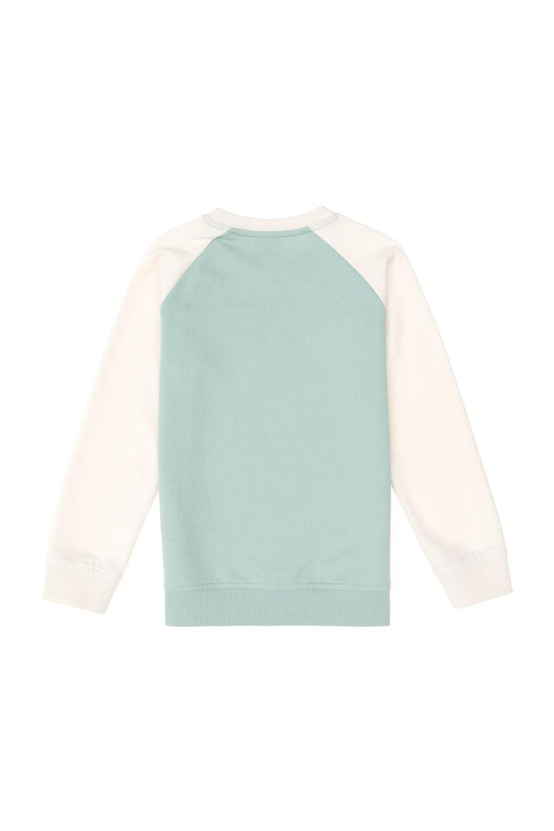 Erkek Çocuk Su Yeşili Bisiklet Yaka Sweatshirt - 50293605016