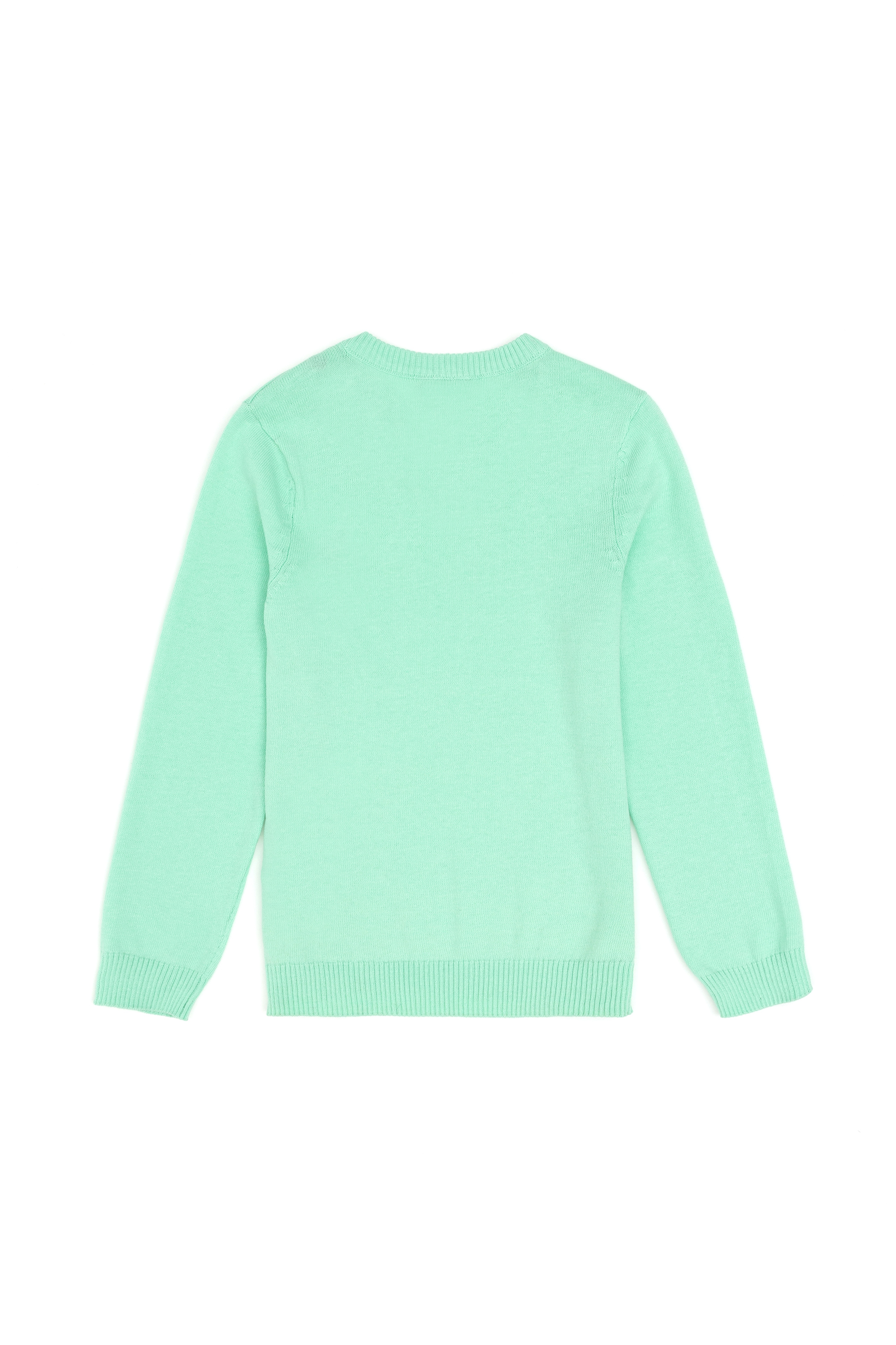 Erkek Çocuk Mint Basic V Yaka Kazak