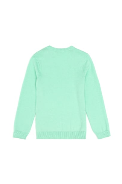 Erkek Çocuk Mint Basic V Yaka Kazak