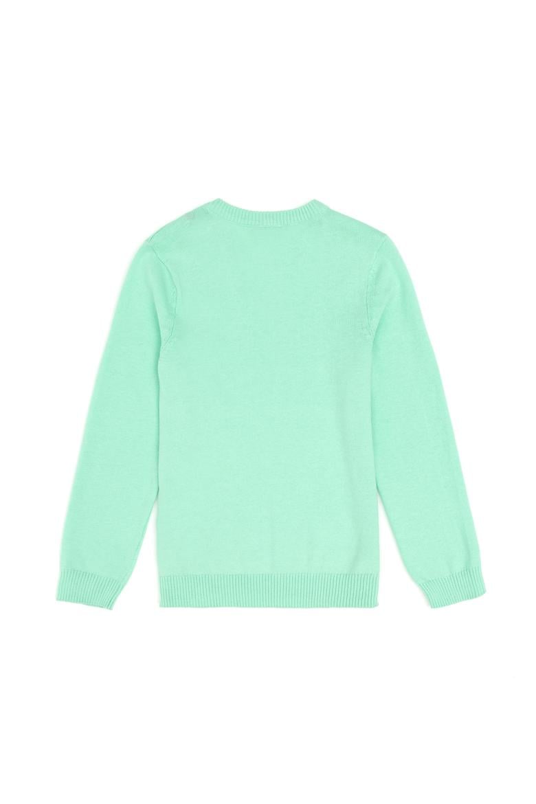 Erkek Çocuk Mint Basic V Yaka Kazak - 50294200056