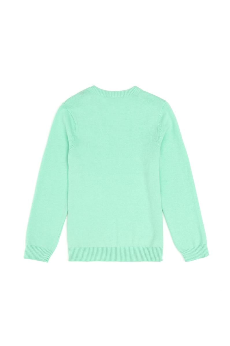 Erkek Çocuk Mint Basic V Yaka Kazak