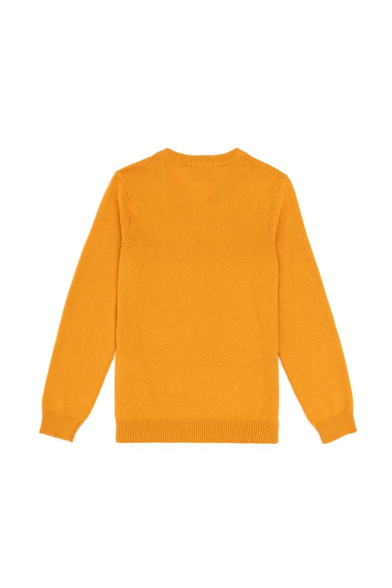 Erkek Çocuk Hardal Basic V Yaka Kazak - 50294200050