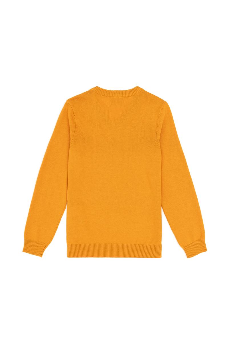 Erkek Çocuk Hardal Basic V Yaka Kazak