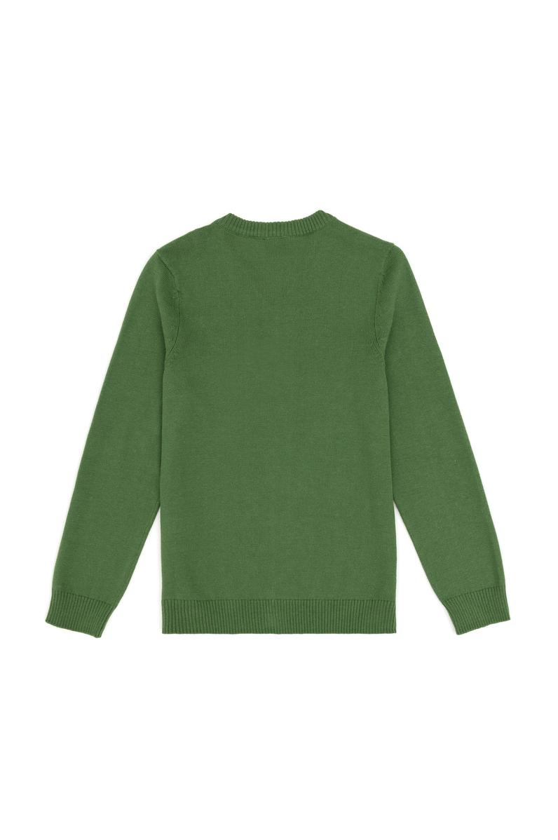 Erkek Çocuk Yeşil Basic V Yaka Kazak