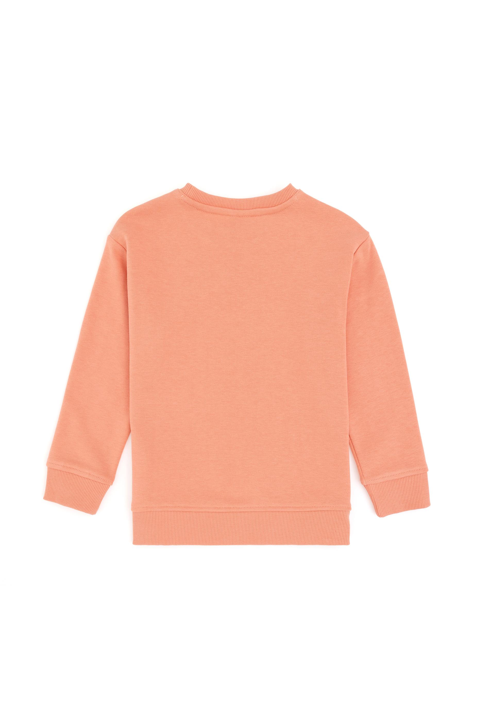 Erkek Çocuk Somon Basic Bisiklet Yaka Sweatshirt