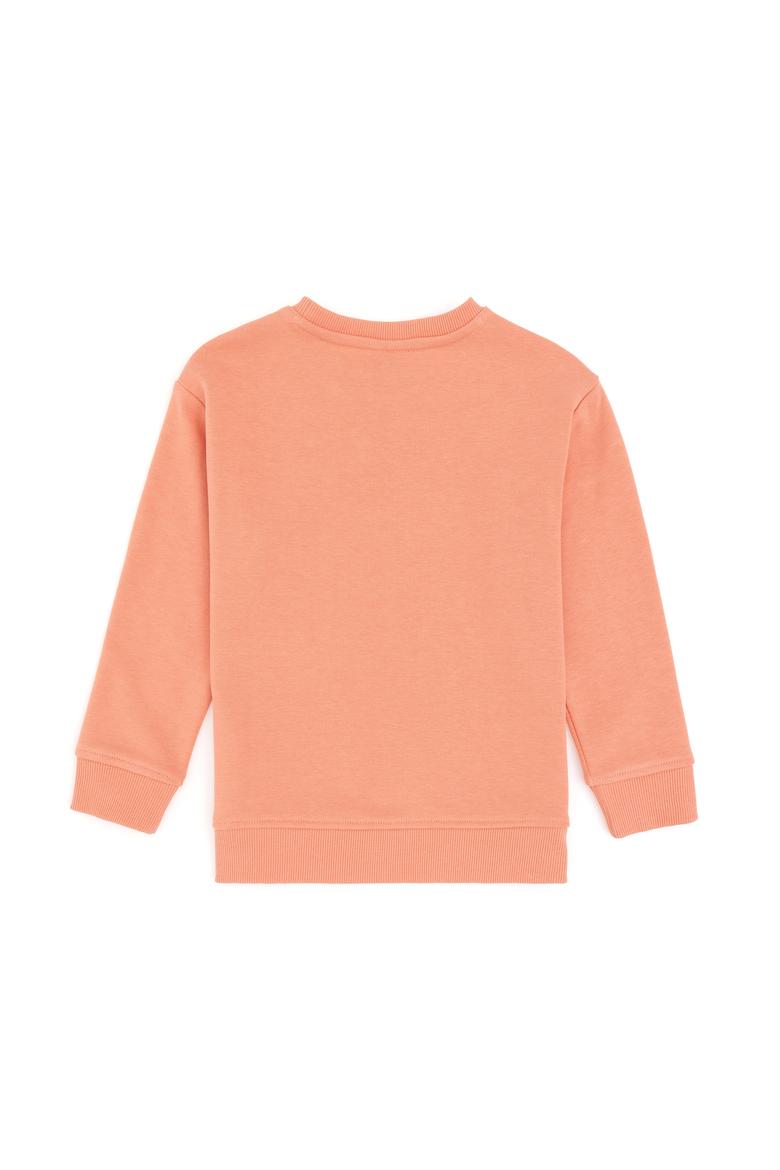 Erkek Çocuk Somon Basic Bisiklet Yaka Sweatshirt - 50295151074