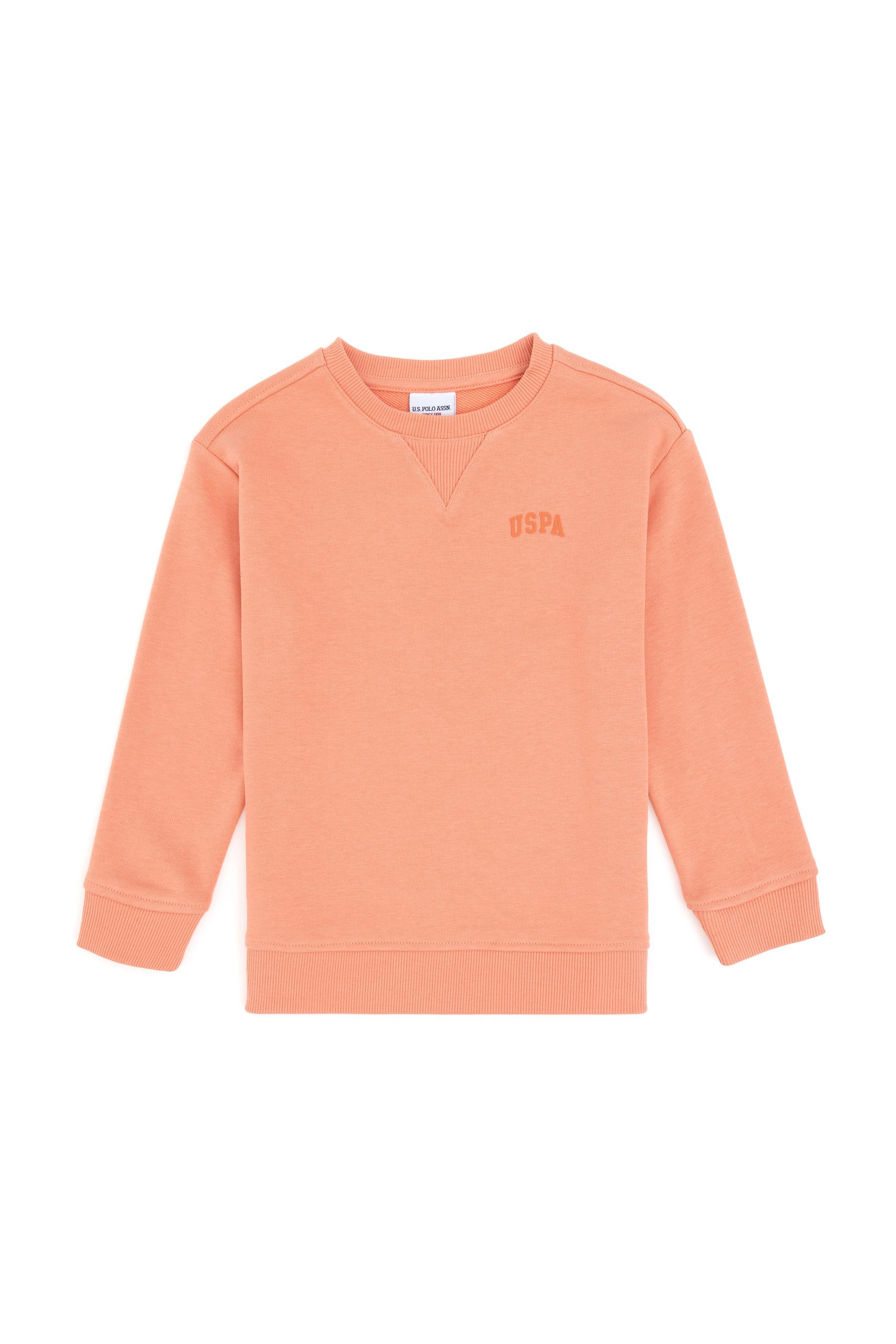 Erkek Çocuk Somon Basic Bisiklet Yaka Sweatshirt