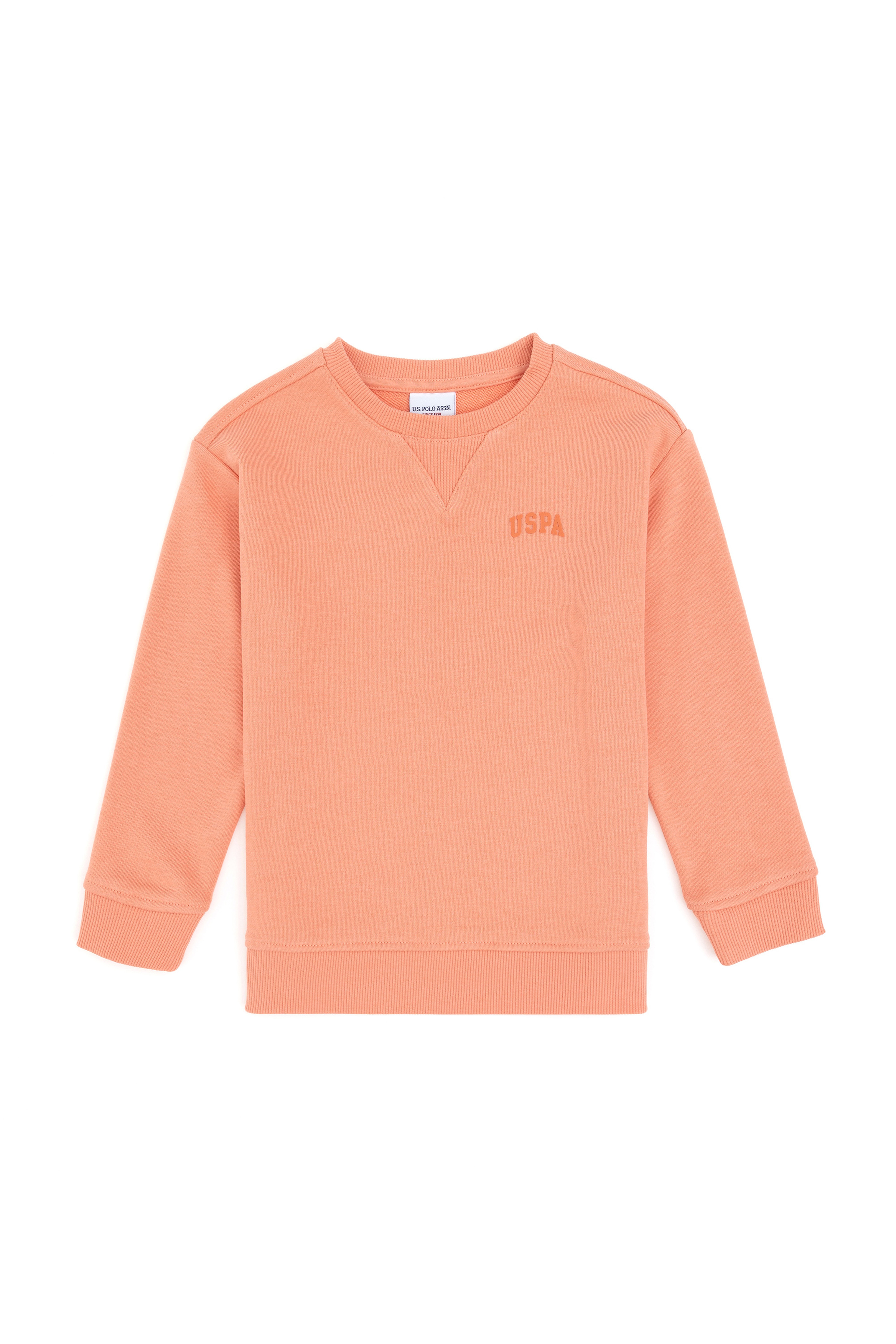 Erkek Çocuk Somon Basic Bisiklet Yaka Sweatshirt - Image 3