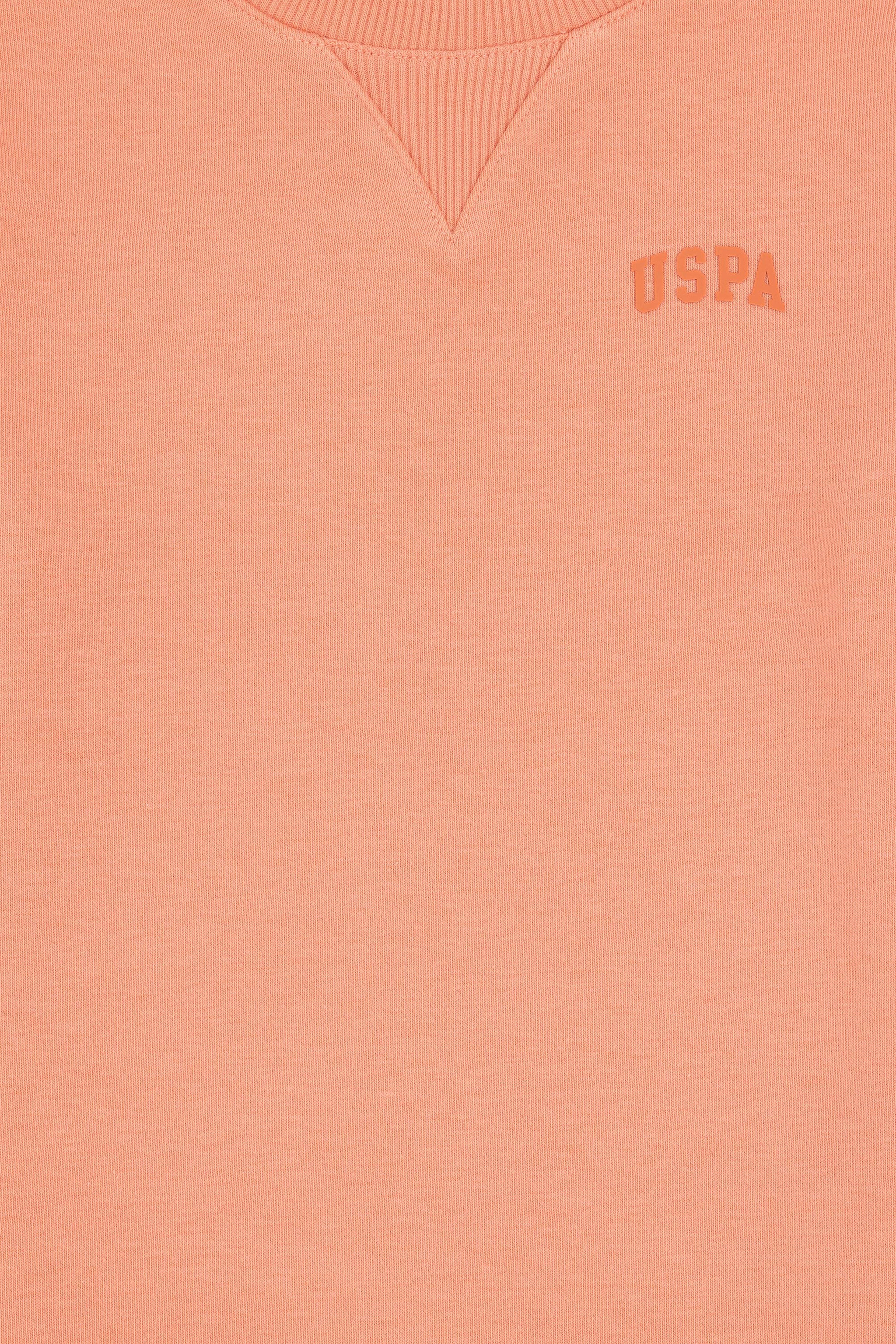 Erkek Çocuk Somon Basic Bisiklet Yaka Sweatshirt - Image 5