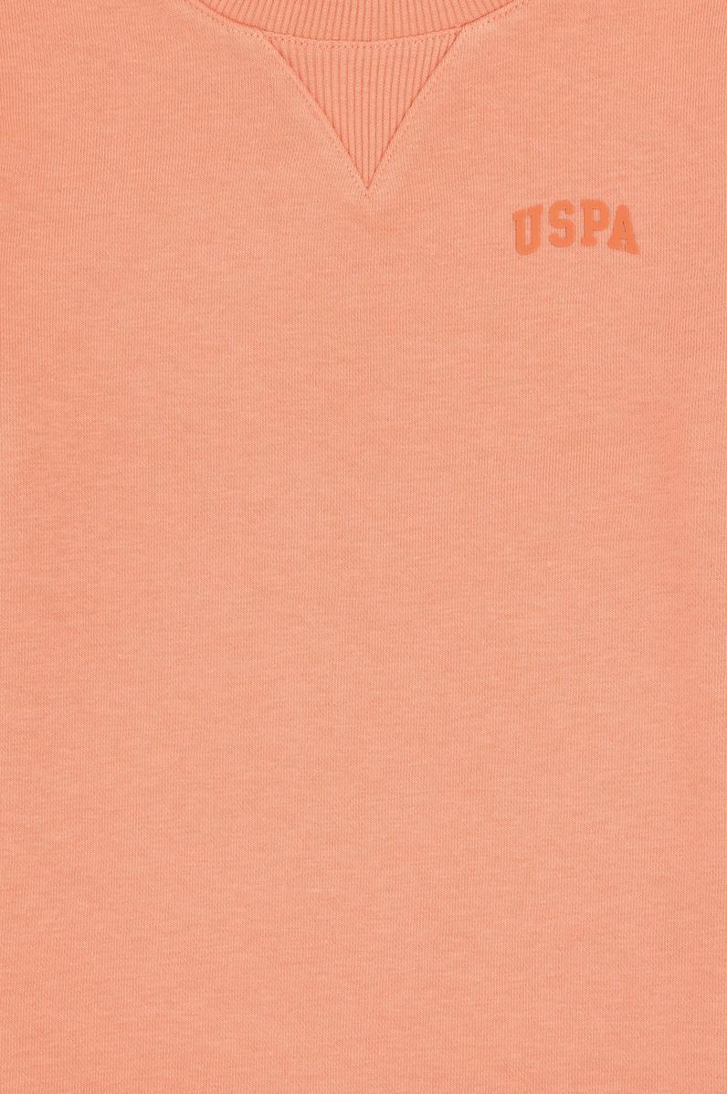 Erkek Çocuk Somon Basic Bisiklet Yaka Sweatshirt