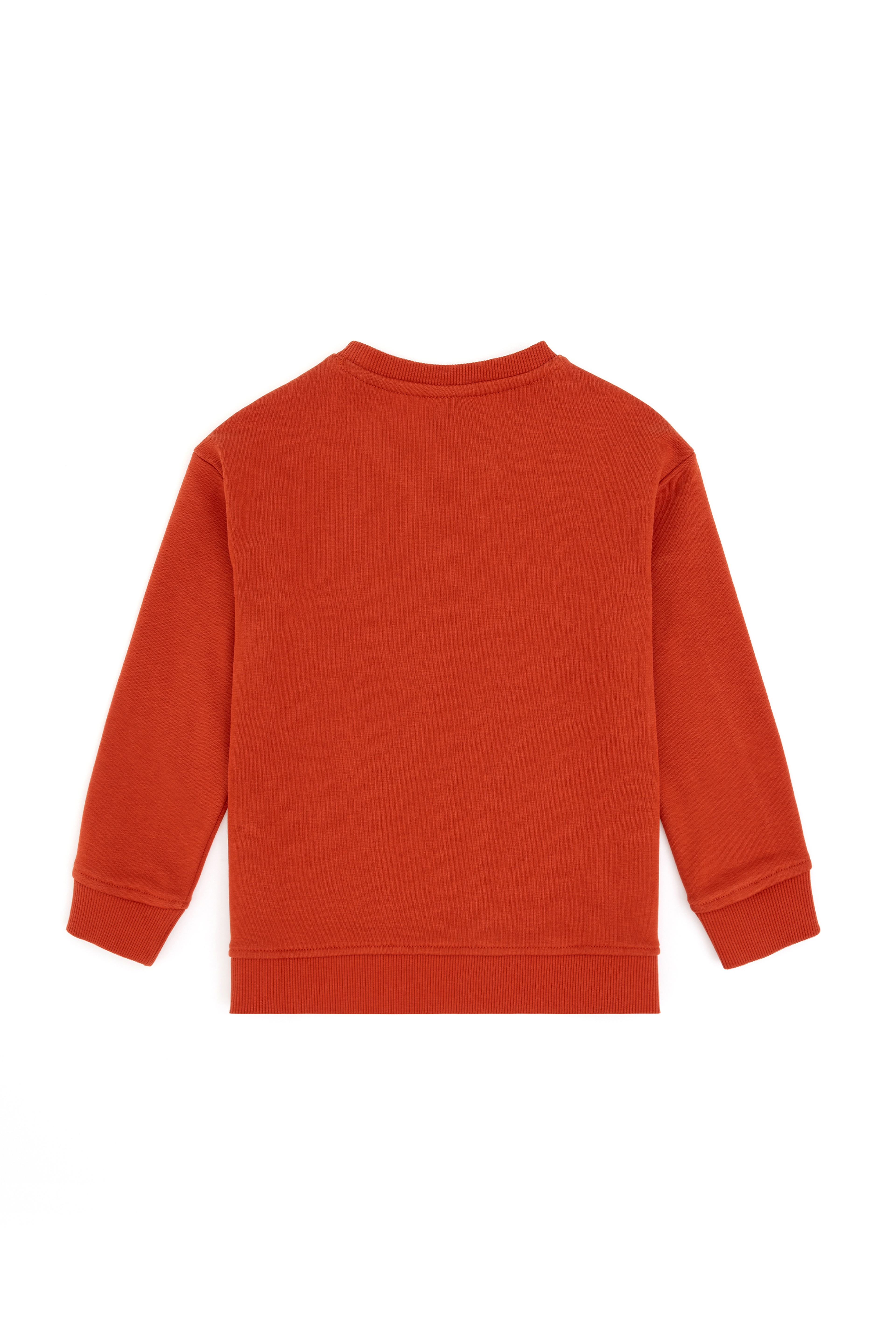 Erkek Çocuk Kiremit Basic Bisiklet Yaka Sweatshirt - Image 2