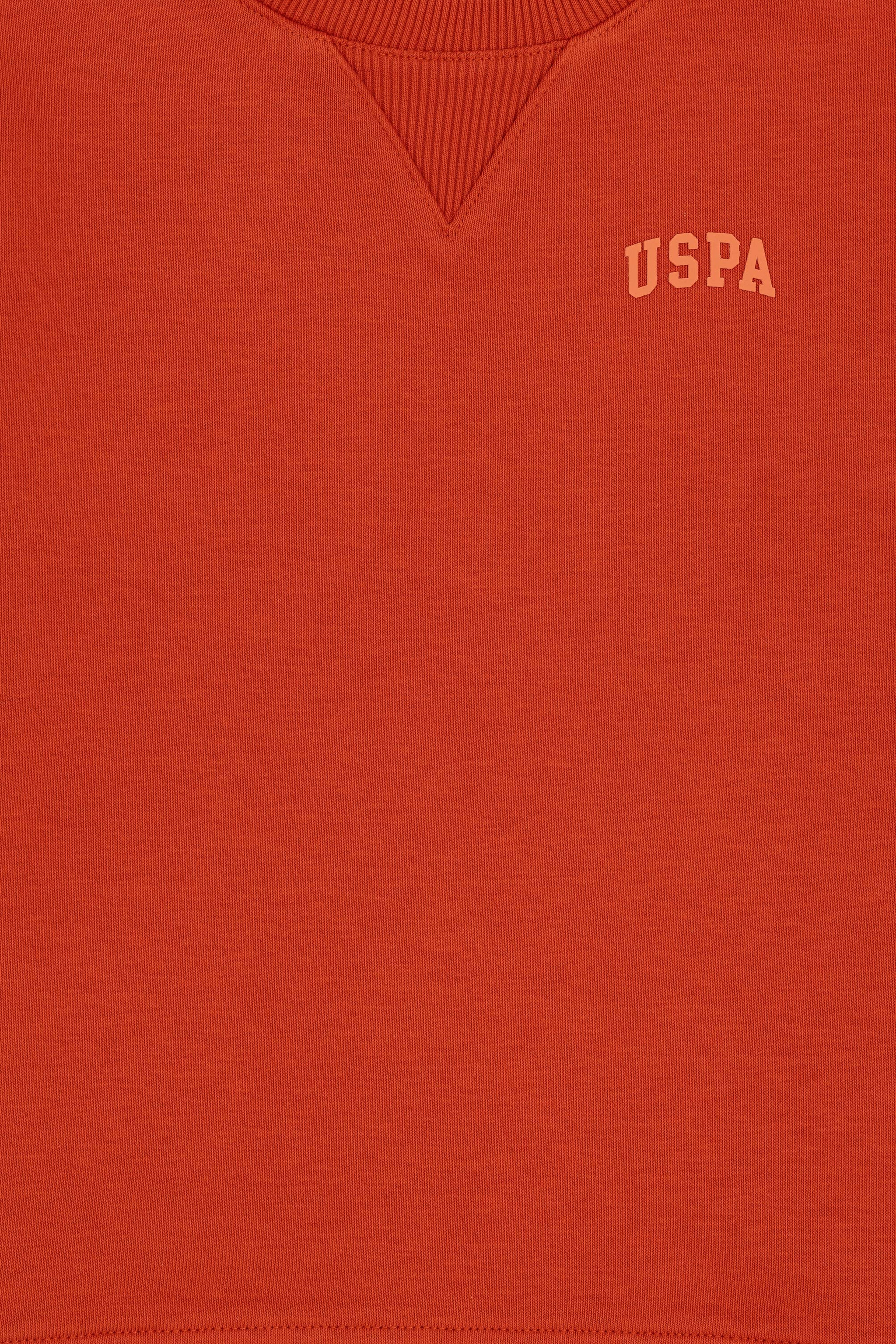Erkek Çocuk Kiremit Basic Bisiklet Yaka Sweatshirt - Image 3