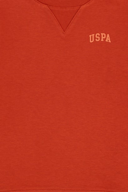 Erkek Çocuk Kiremit Basic Bisiklet Yaka Sweatshirt