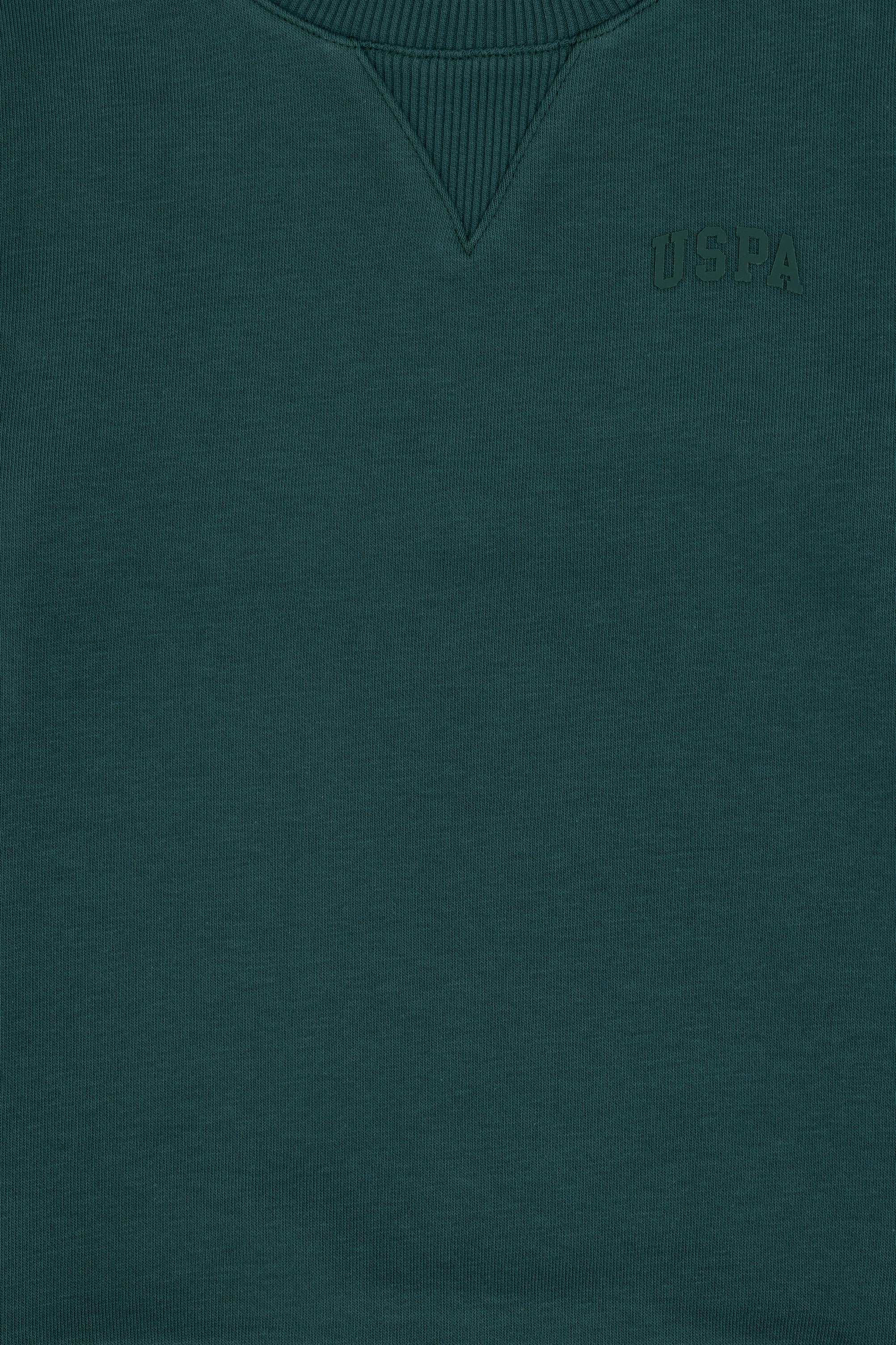 Erkek Çocuk Koyu Yeşil Basic Bisiklet Yaka Sweatshirt - Image 5